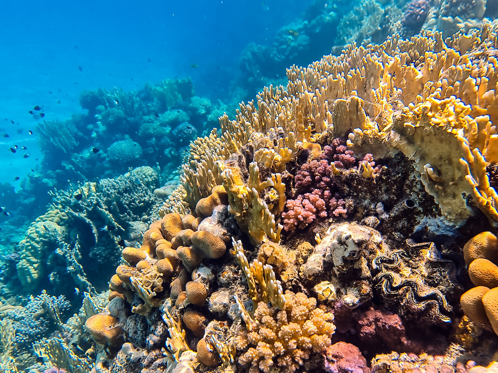 Египет, май 2021