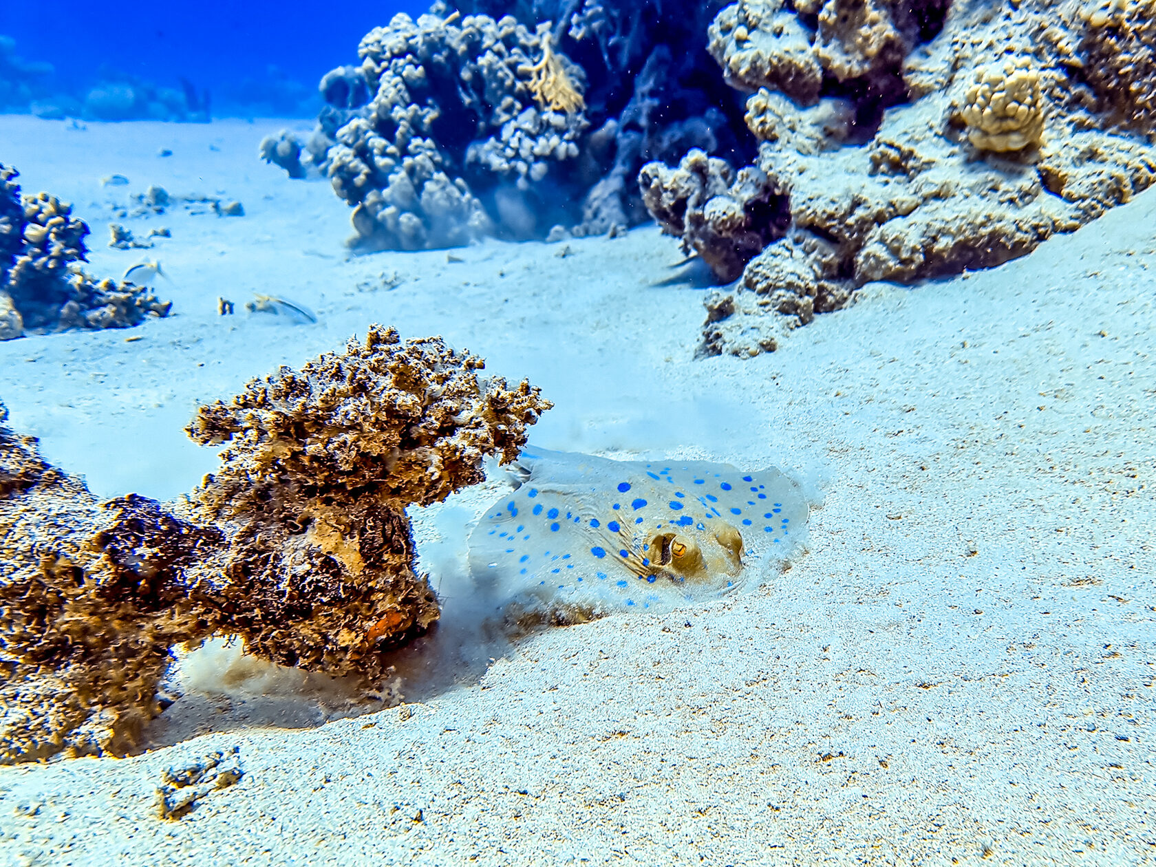 Египет, май 2021