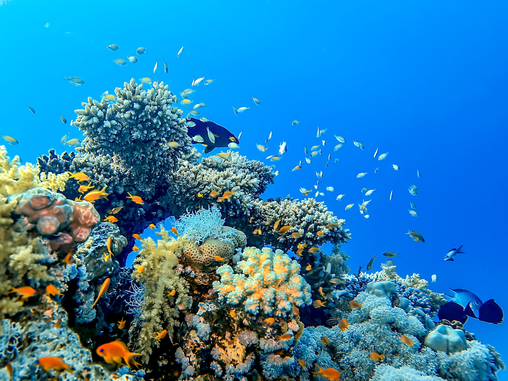 Египет, май 2021