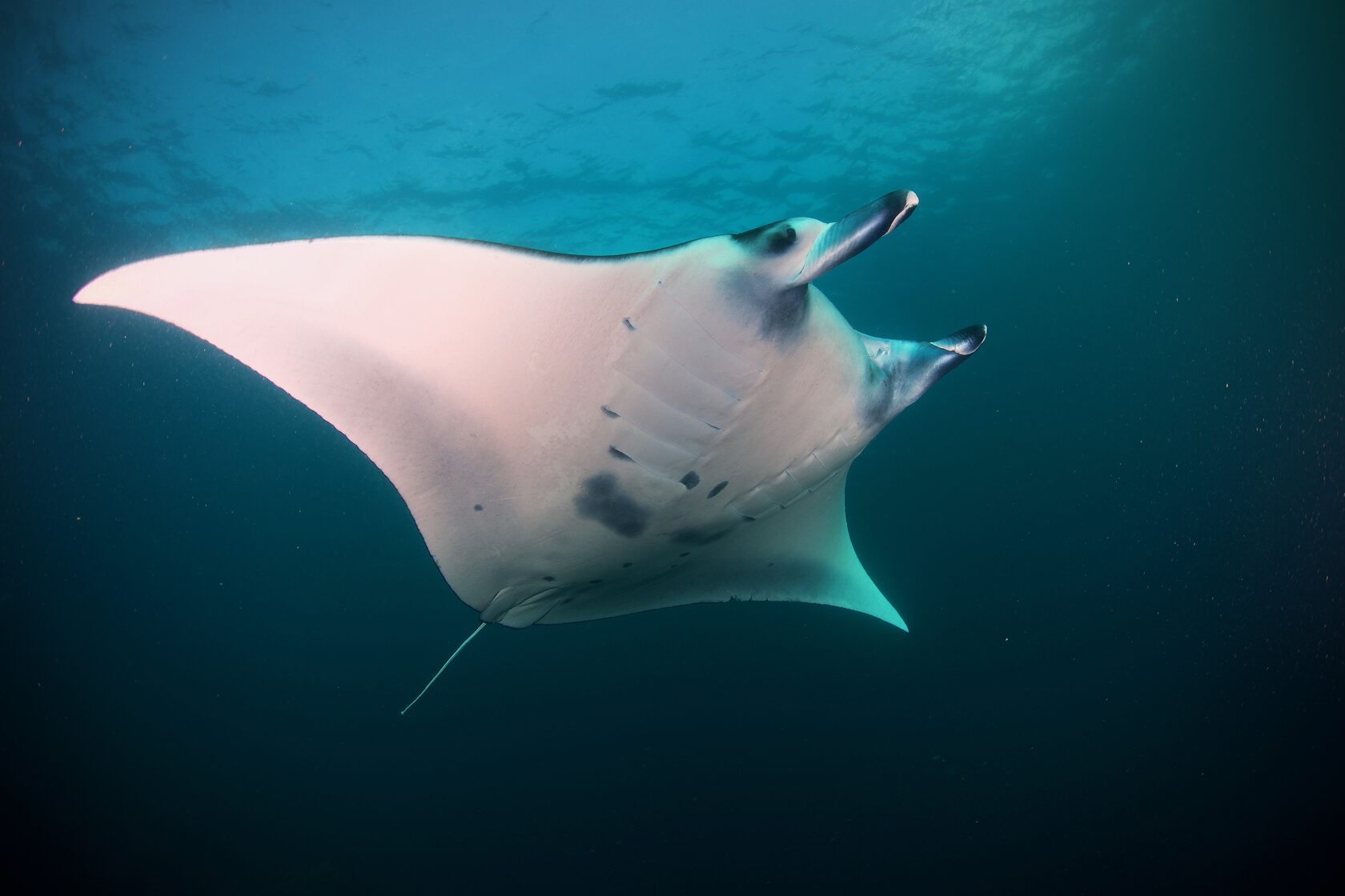 Индонезия, май 2024