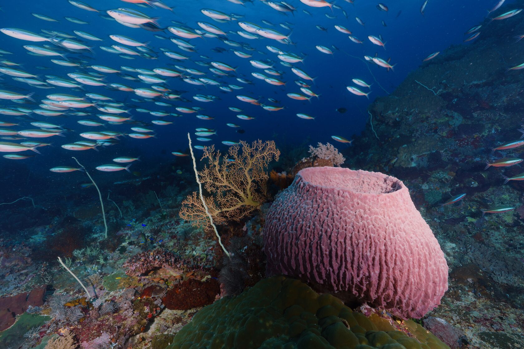 Индонезия, май 2024