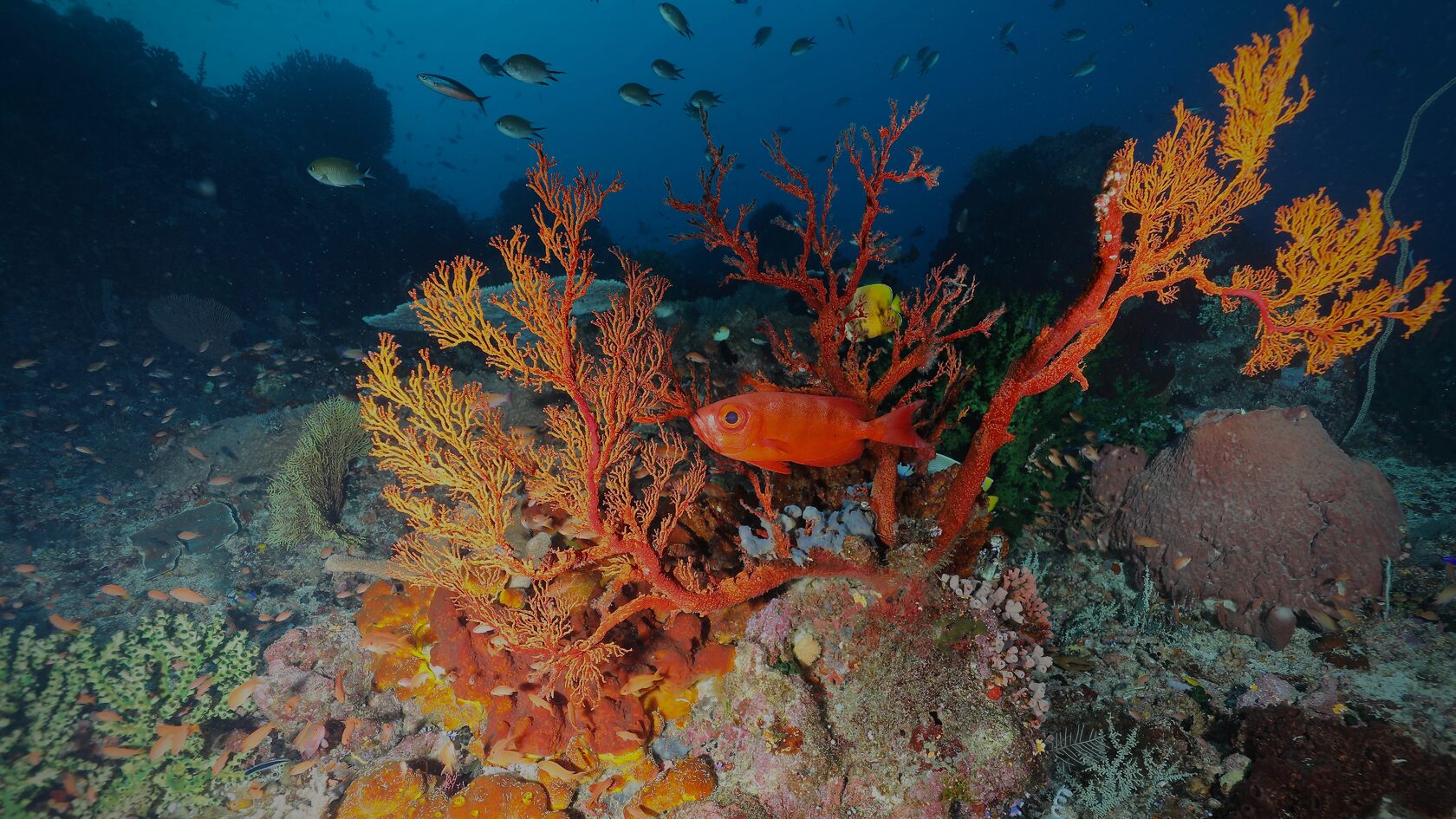 Индонезия, май 2024