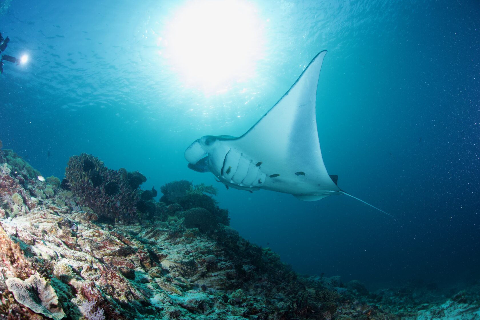 Индонезия, май 2024