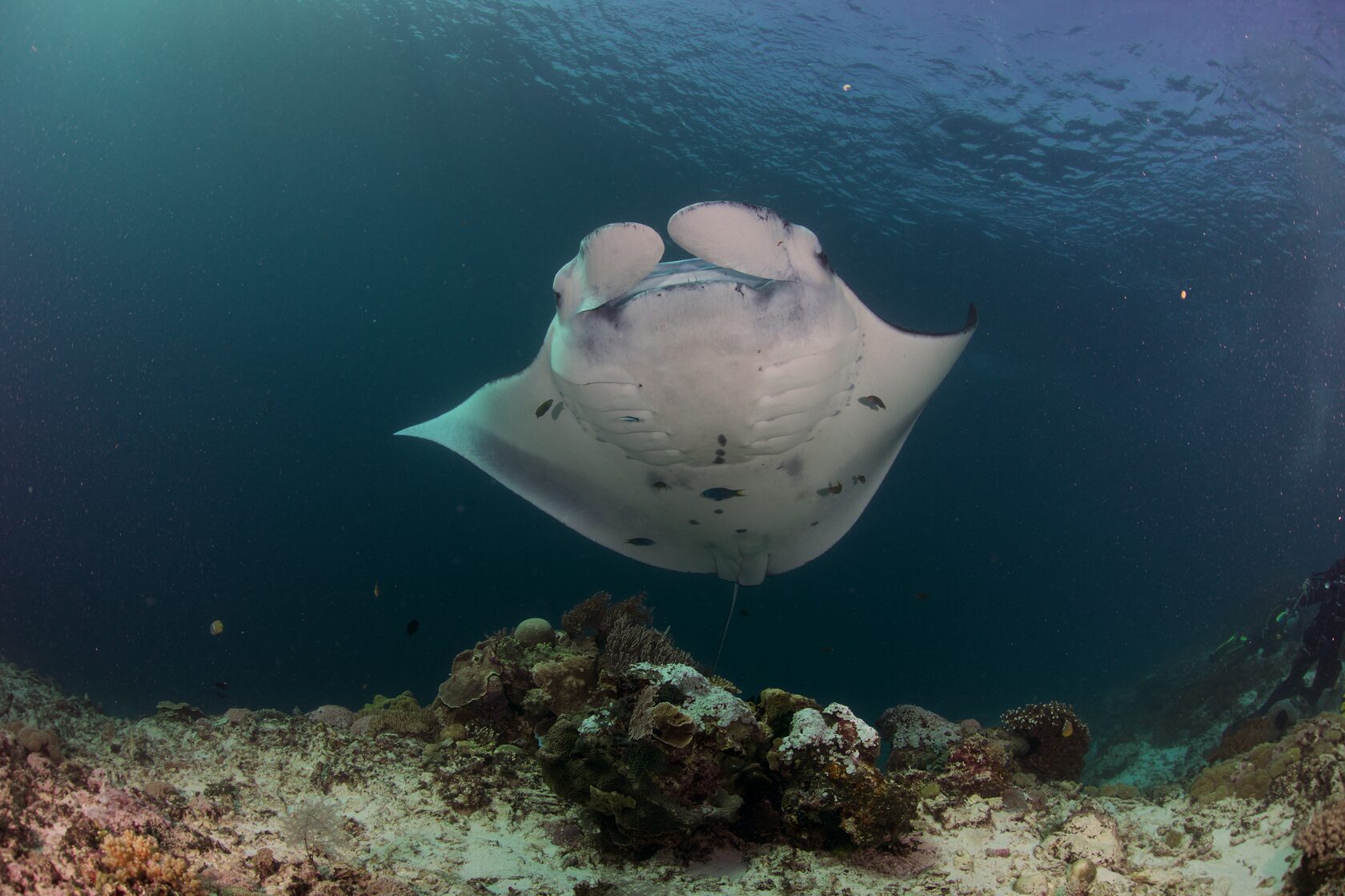 Индонезия, май 2024