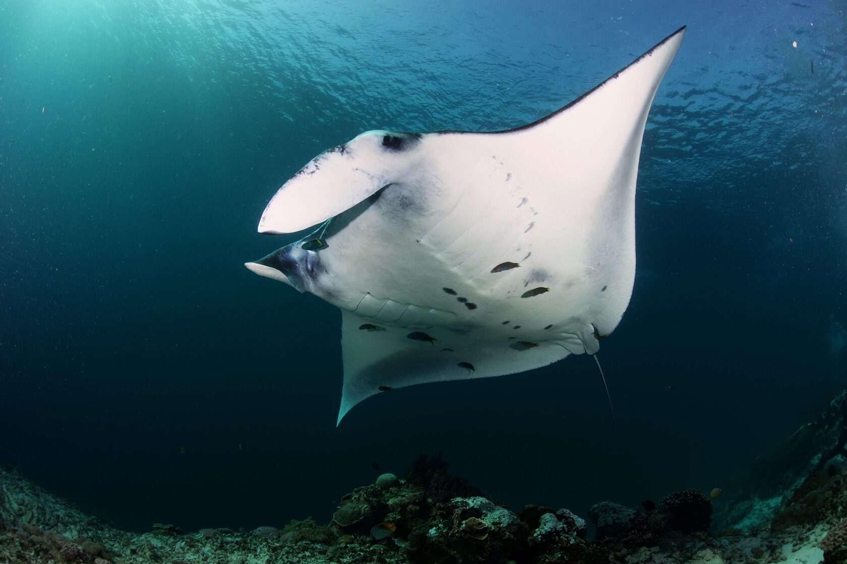 Индонезия, май 2024