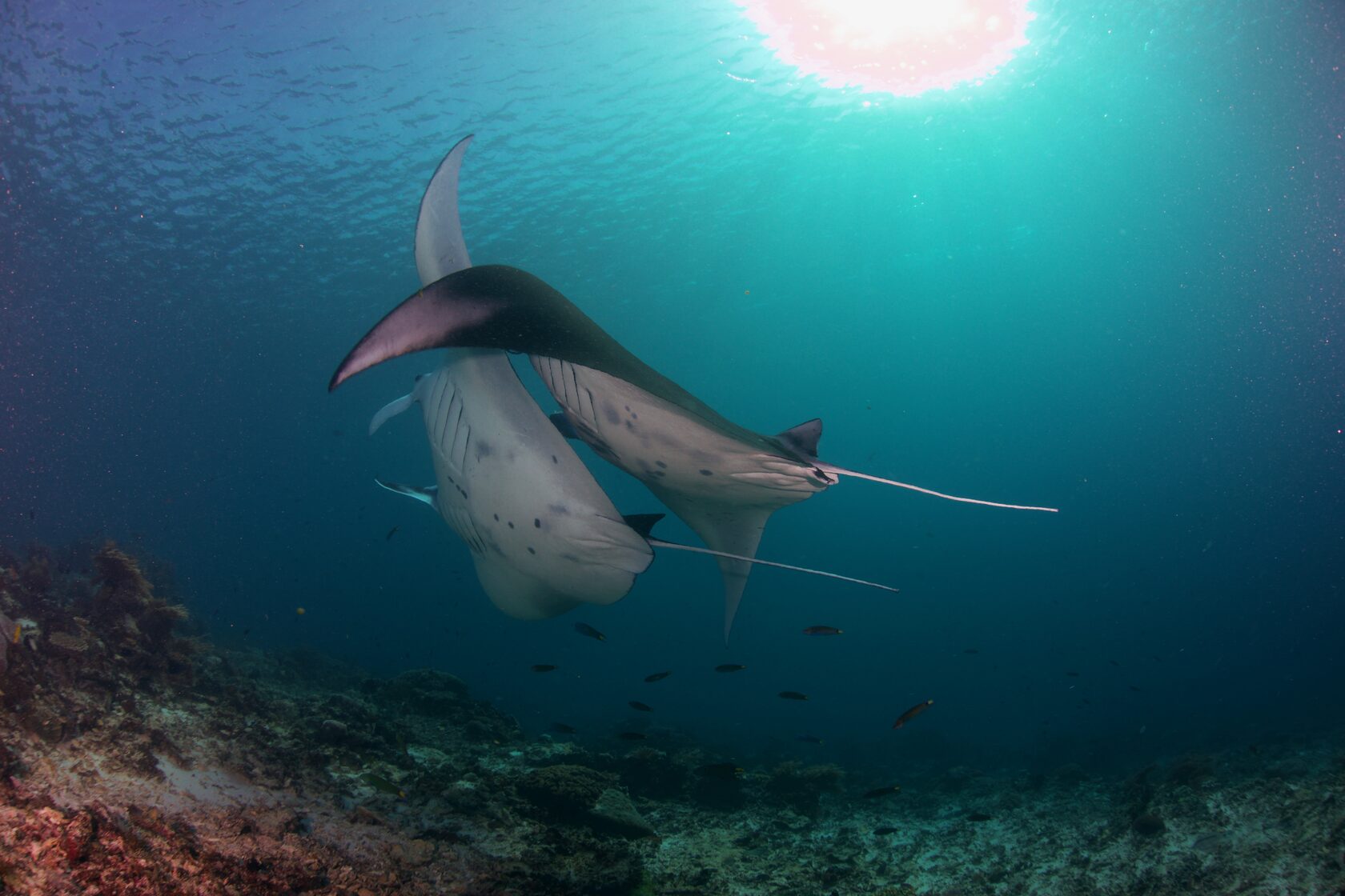 Индонезия, май 2024