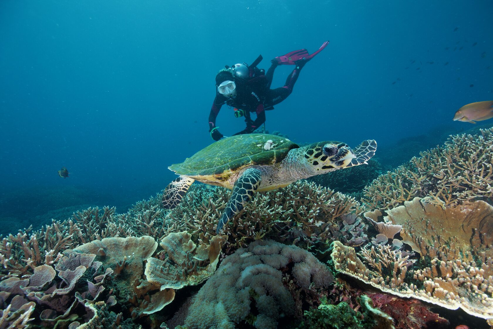 Индонезия, май 2024