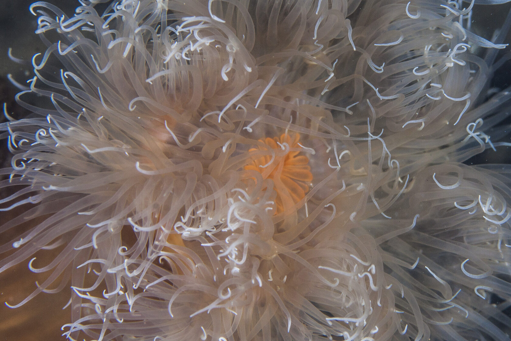 Японское море, сентябрь 2021