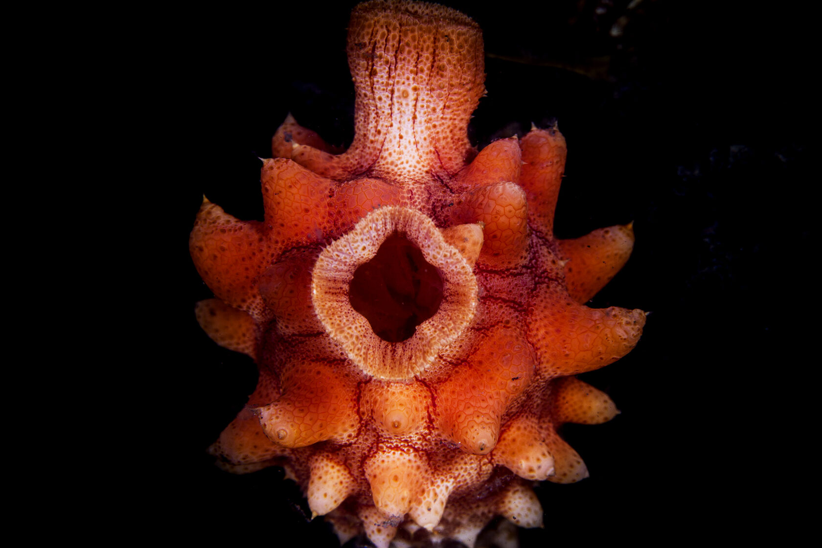 Японское море, сентябрь 2021