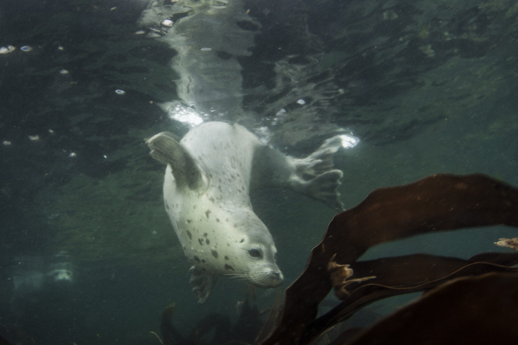 Японское море, сентябрь 2021