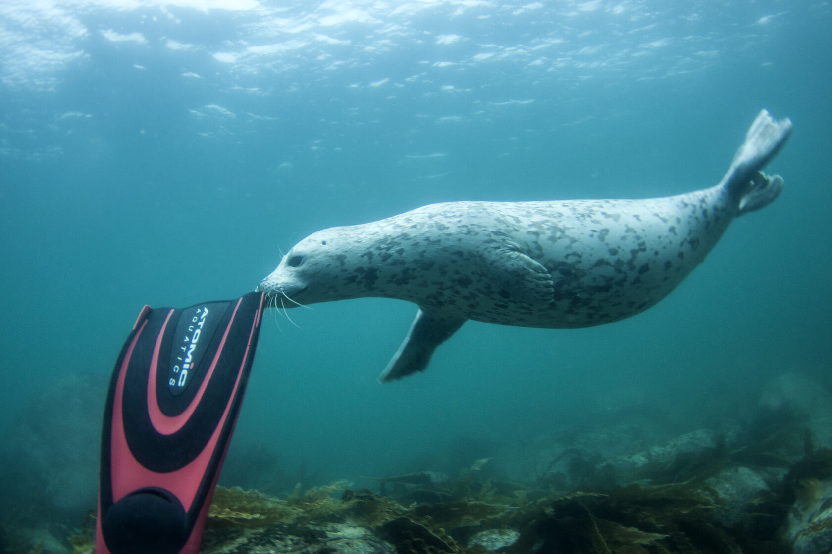 Японское море, сентябрь 2021