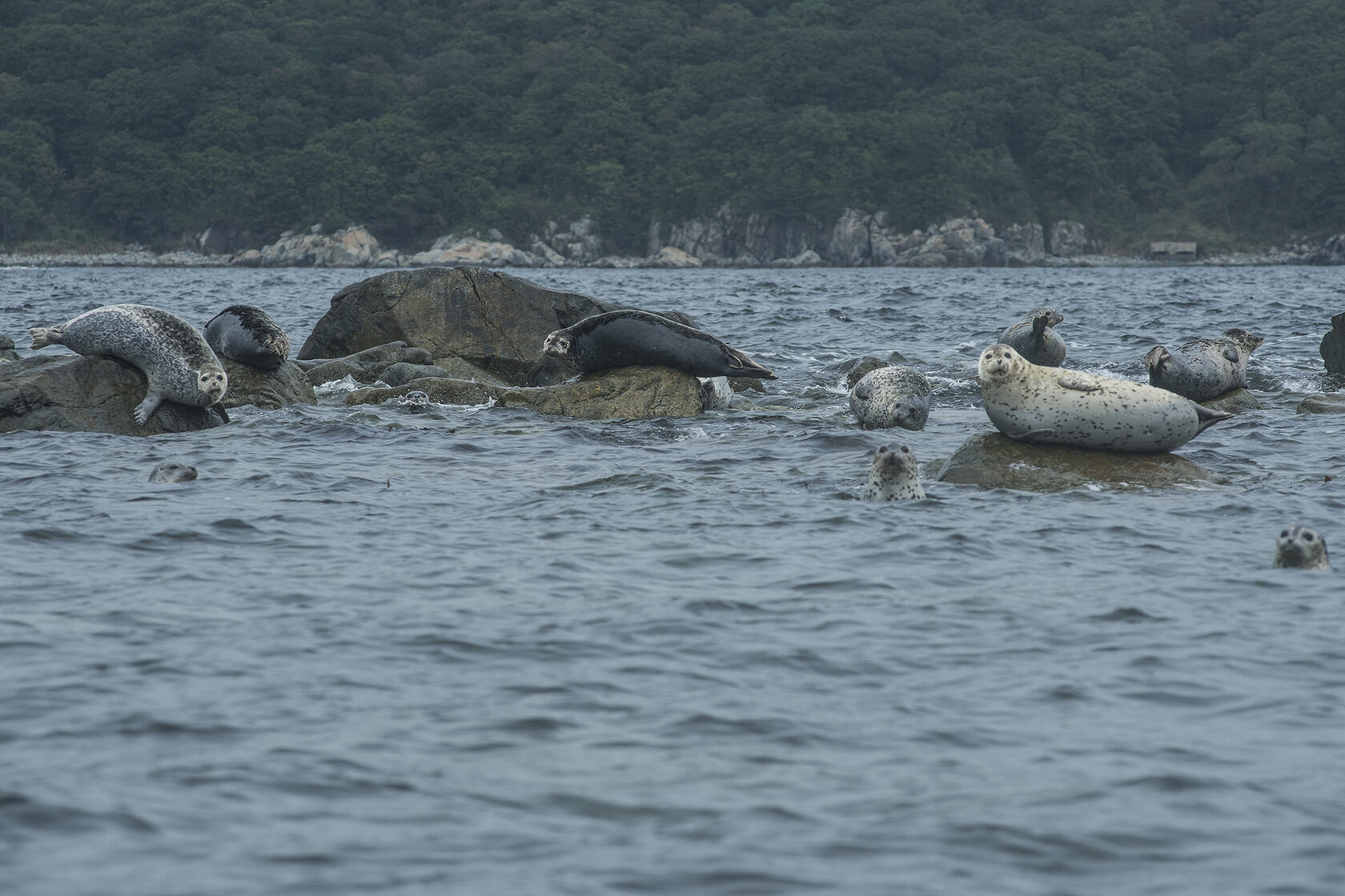 Японское море, сентябрь 2021