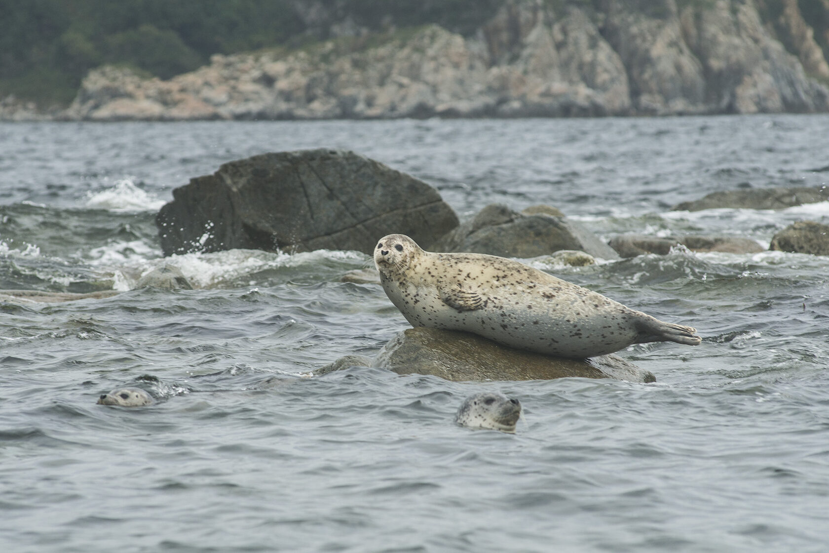Японское море, сентябрь 2021