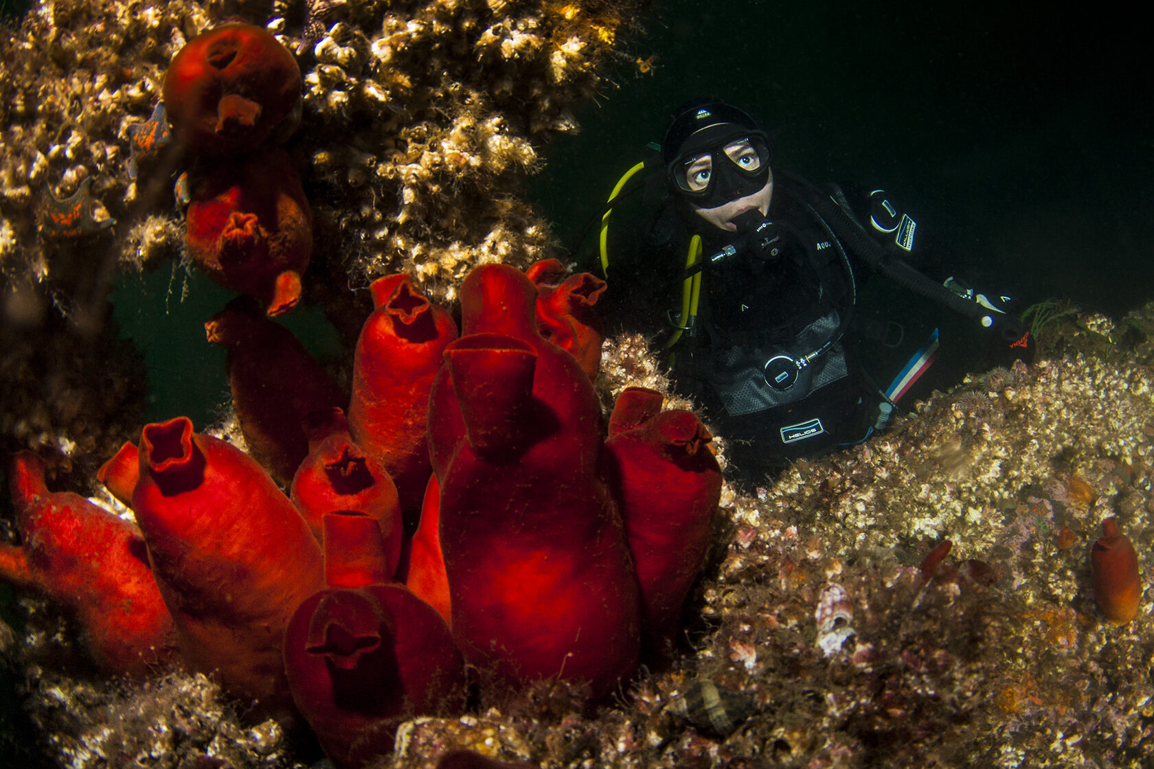 Японское море, сентябрь 2021