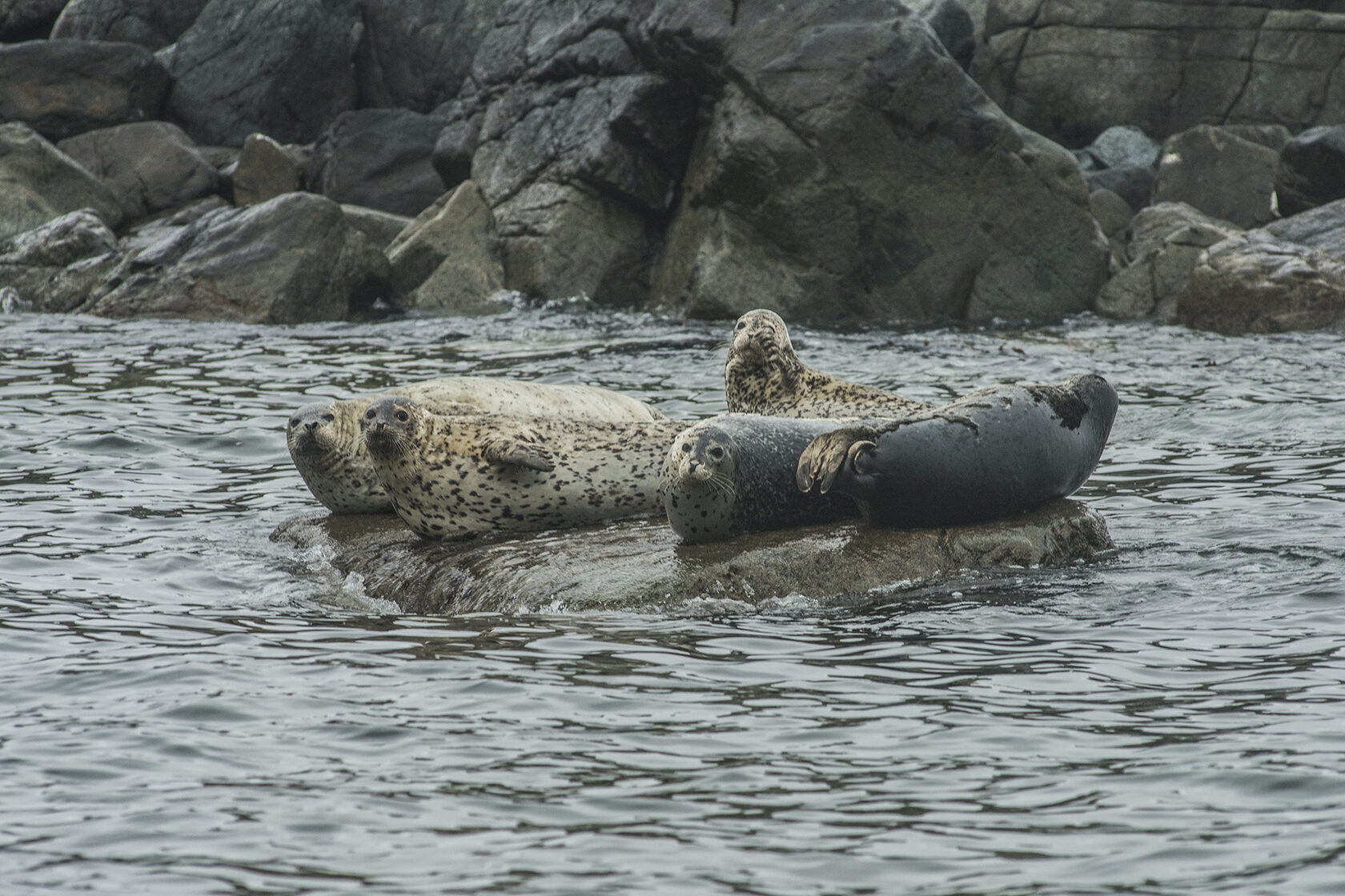 Японское море, сентябрь 2021