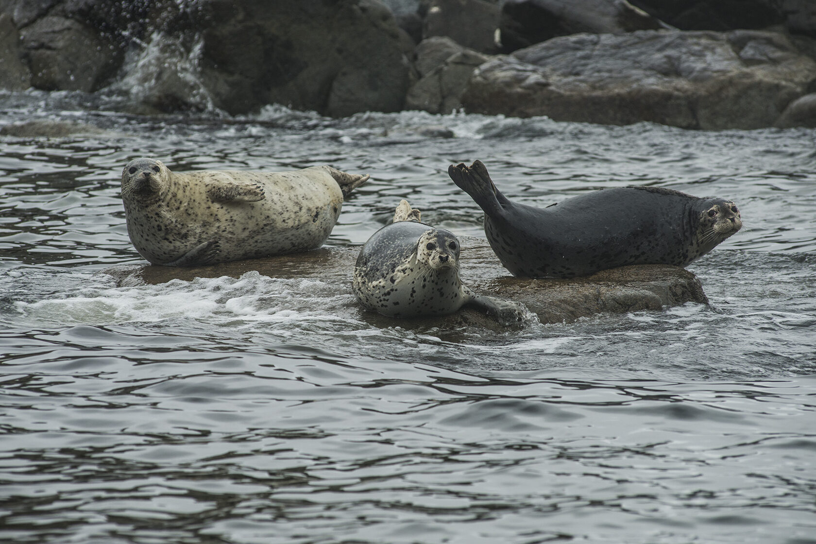 Японское море, сентябрь 2021