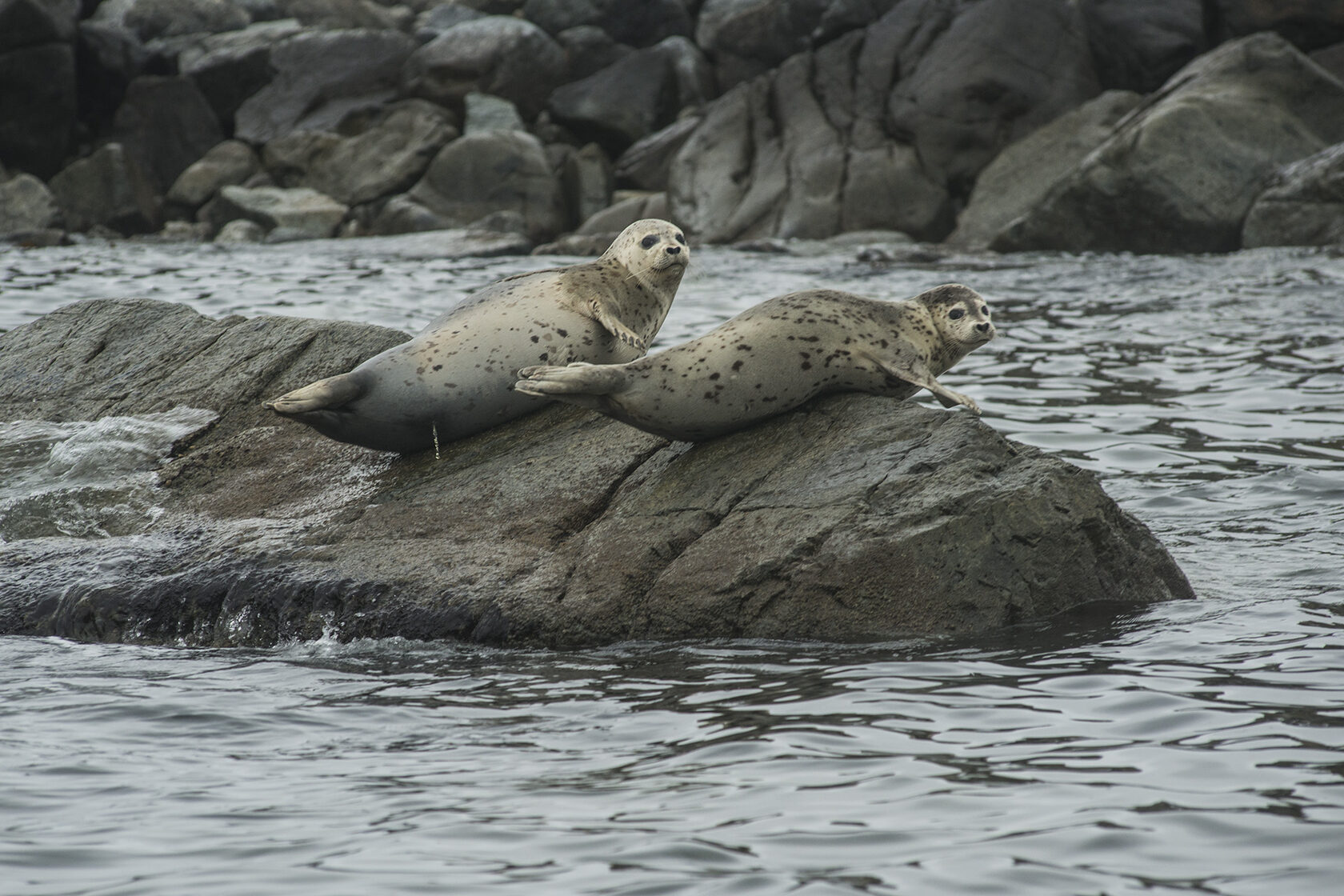 Японское море, сентябрь 2021