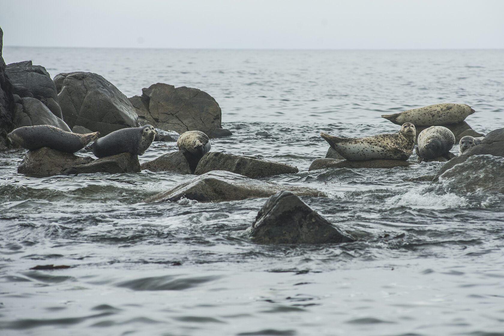 Японское море, сентябрь 2021