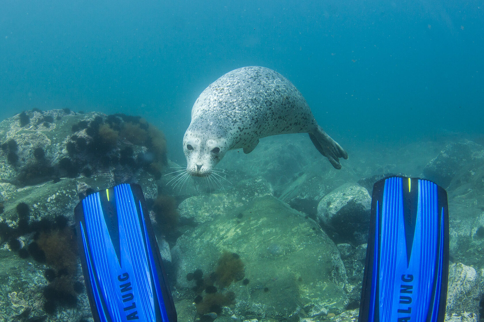 Японское море, сентябрь 2021