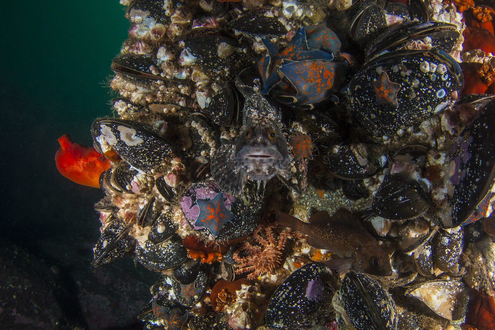 Японское море, сентябрь 2021