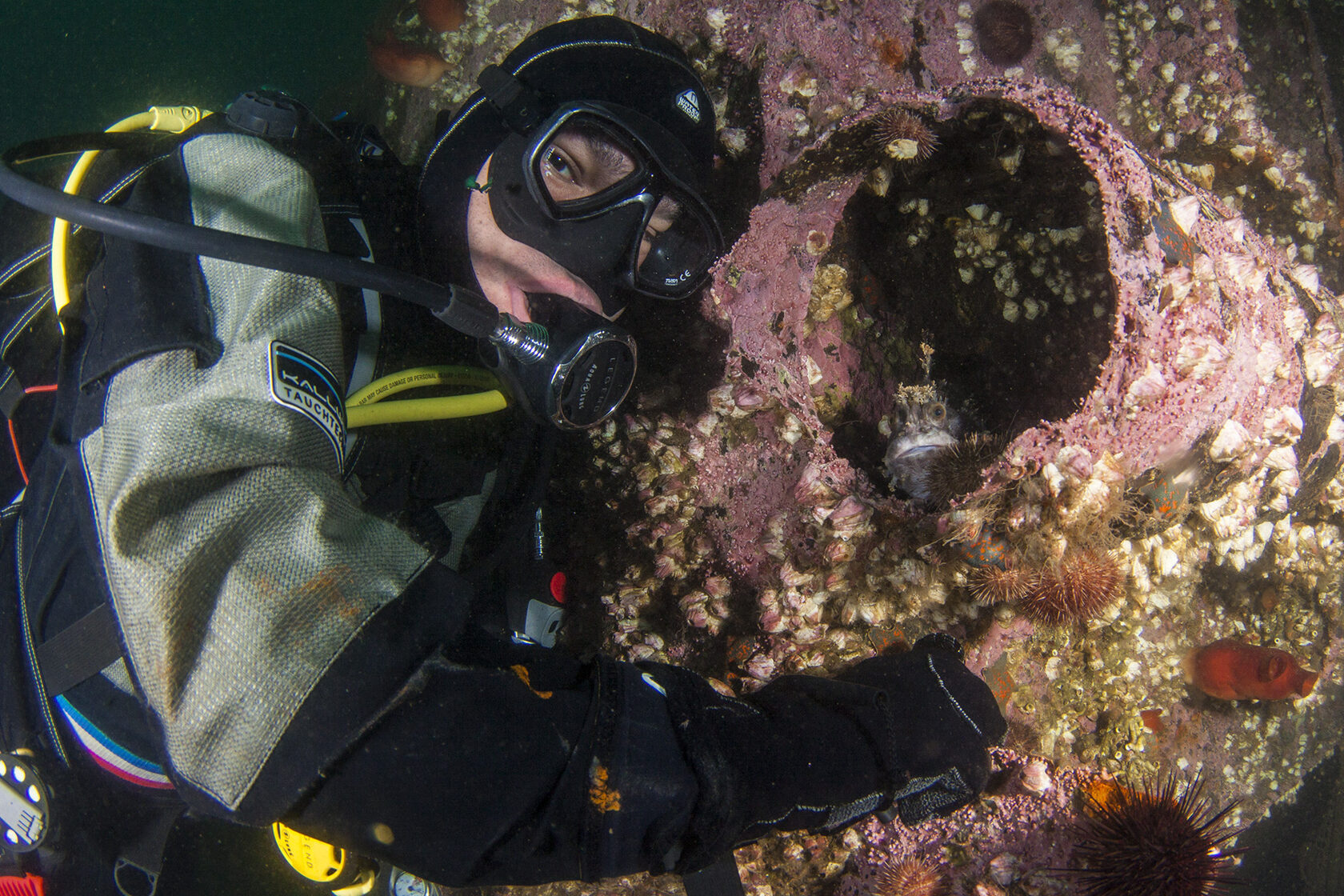 Японское море, сентябрь 2021