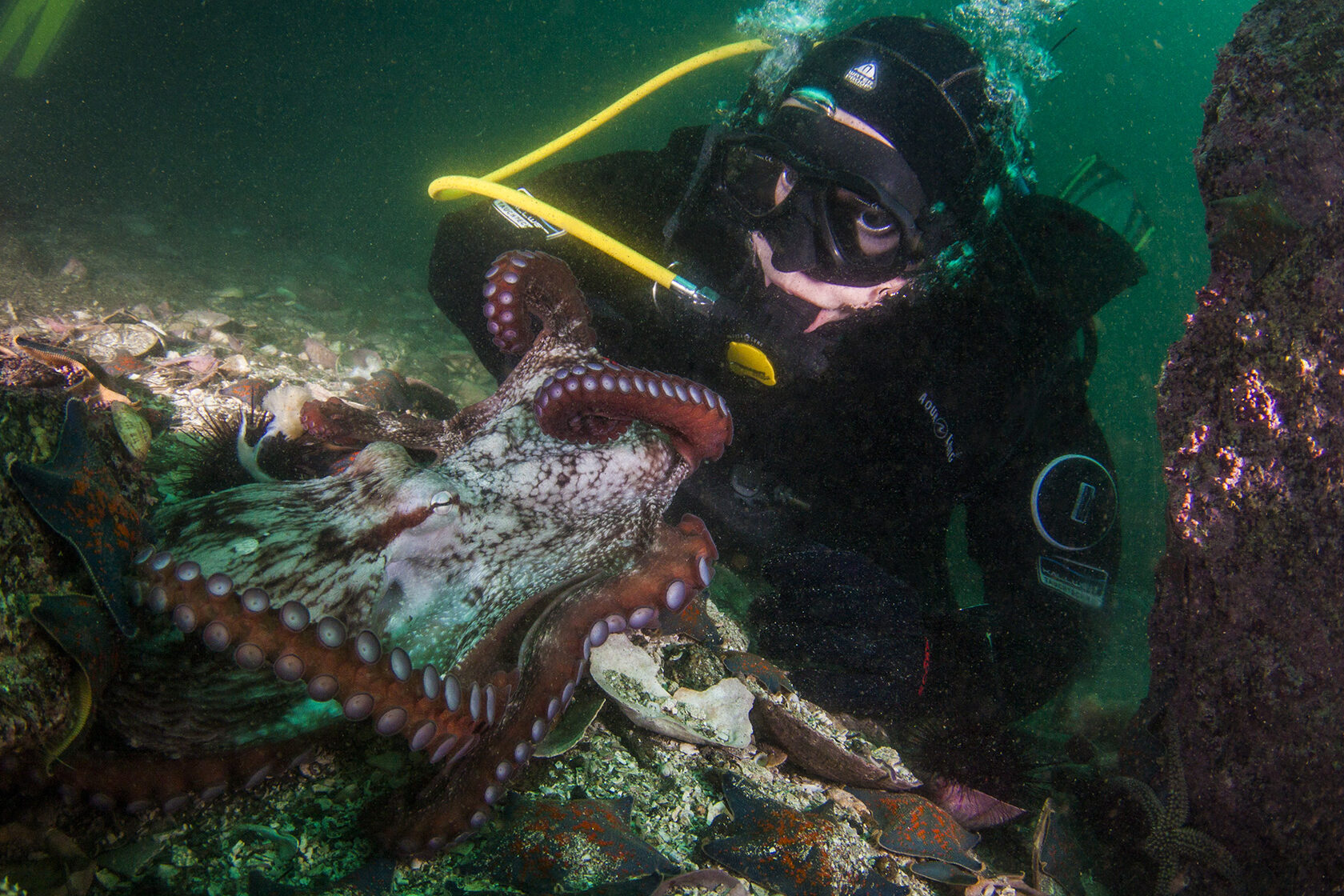 Японское море, сентябрь 2021