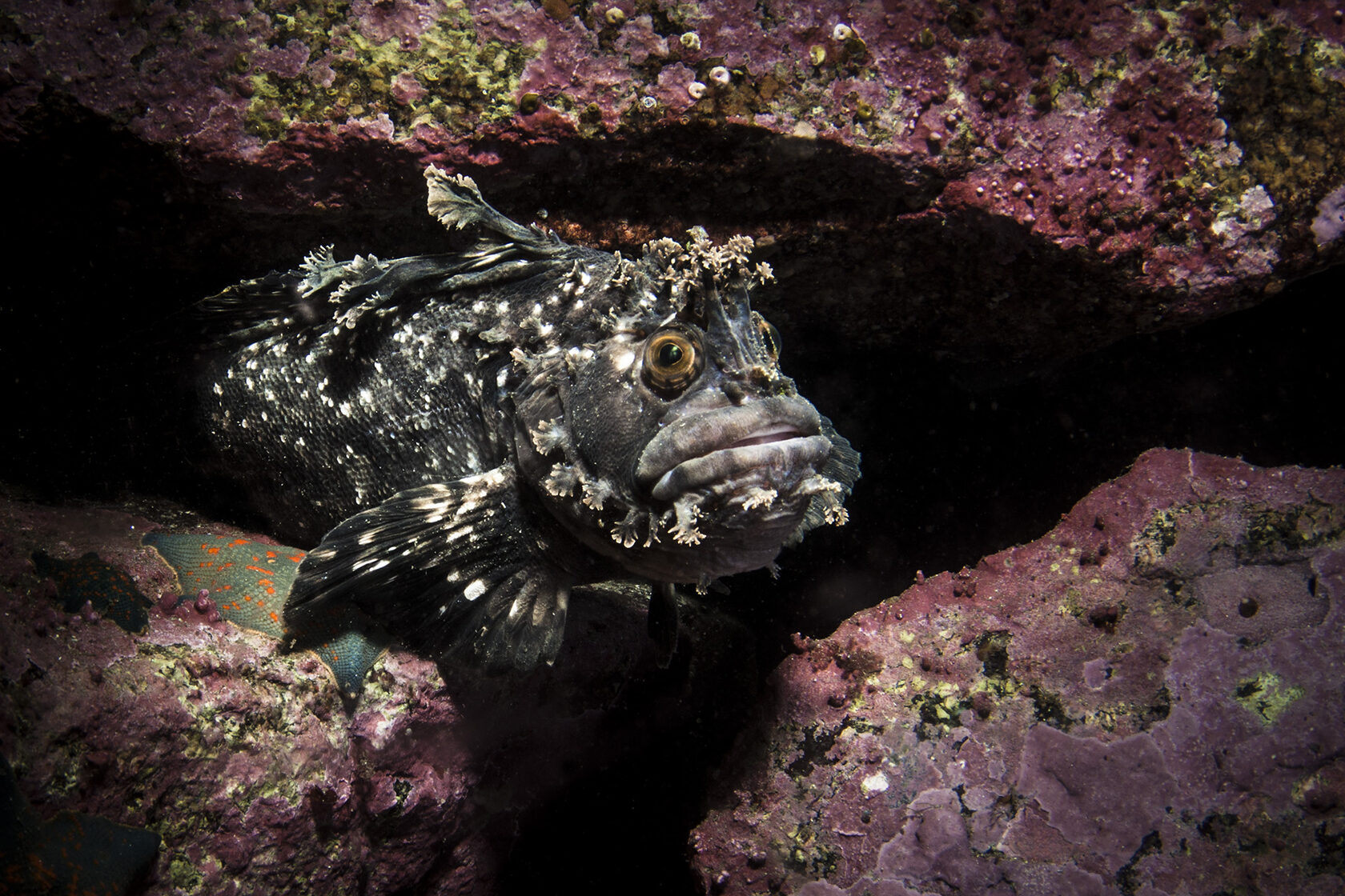 Японское море, сентябрь 2021