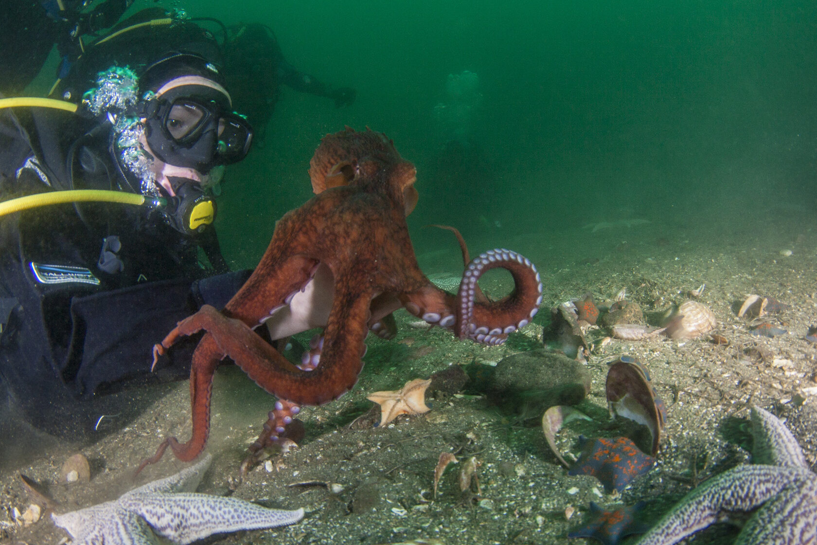 Японское море, сентябрь 2021