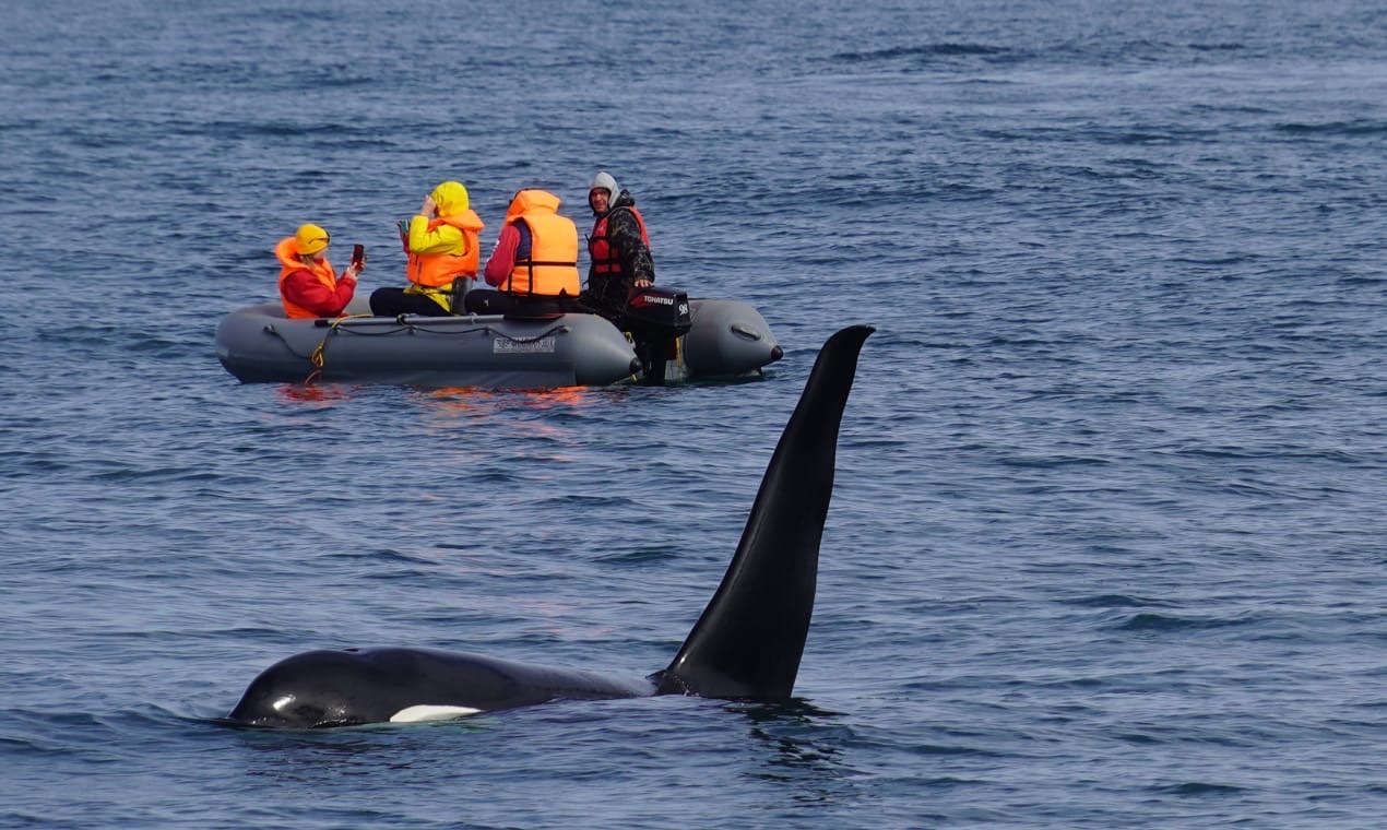 Камчатка, август 2020