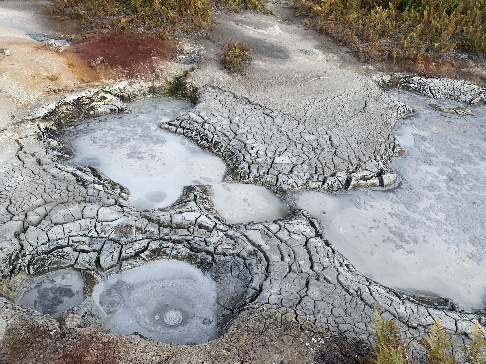 Камчатка, август 2020