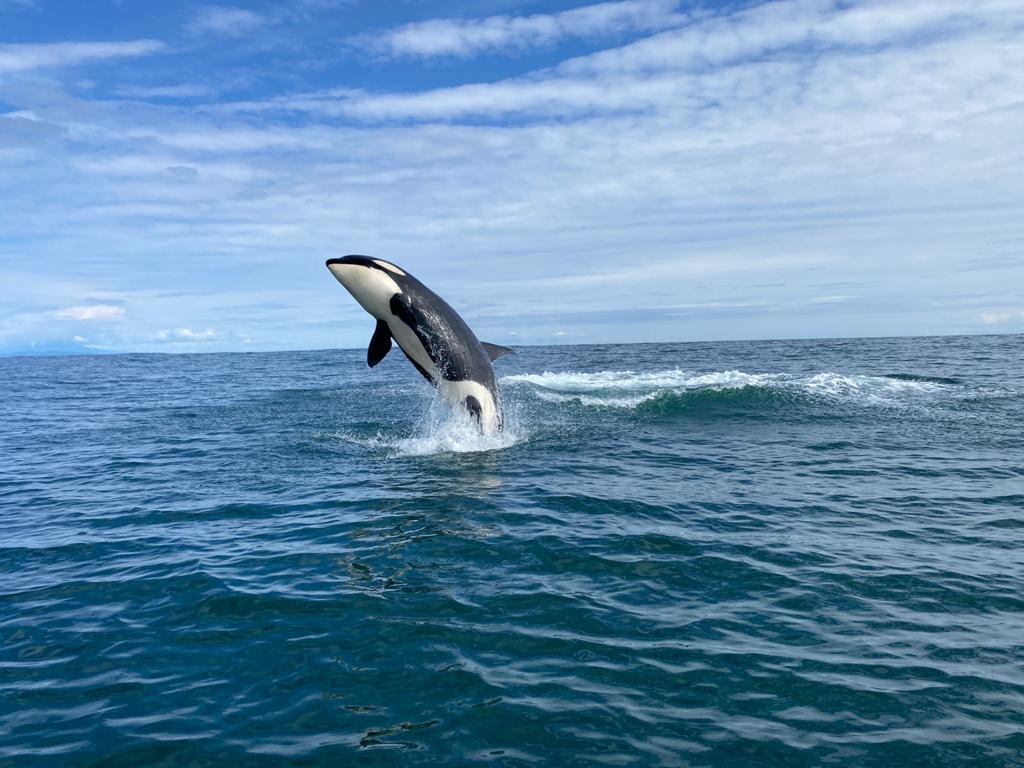 Камчатка, август 2020