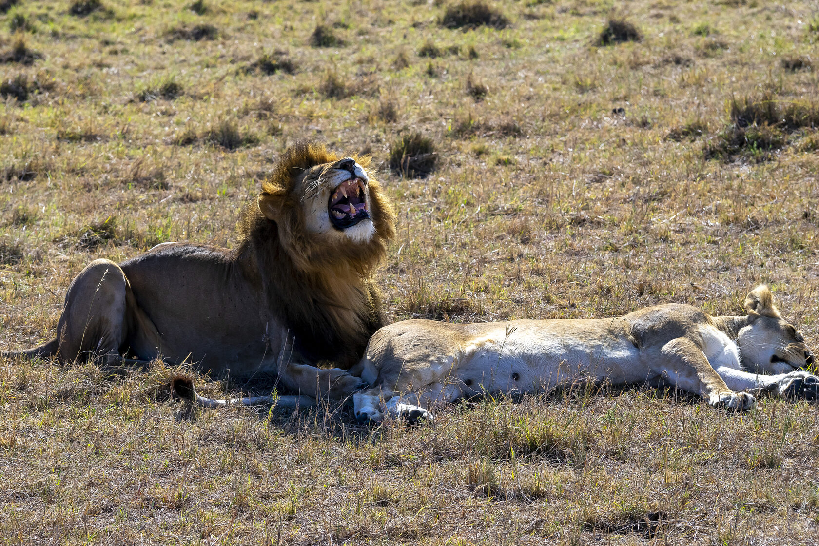 Кения, январь 2022