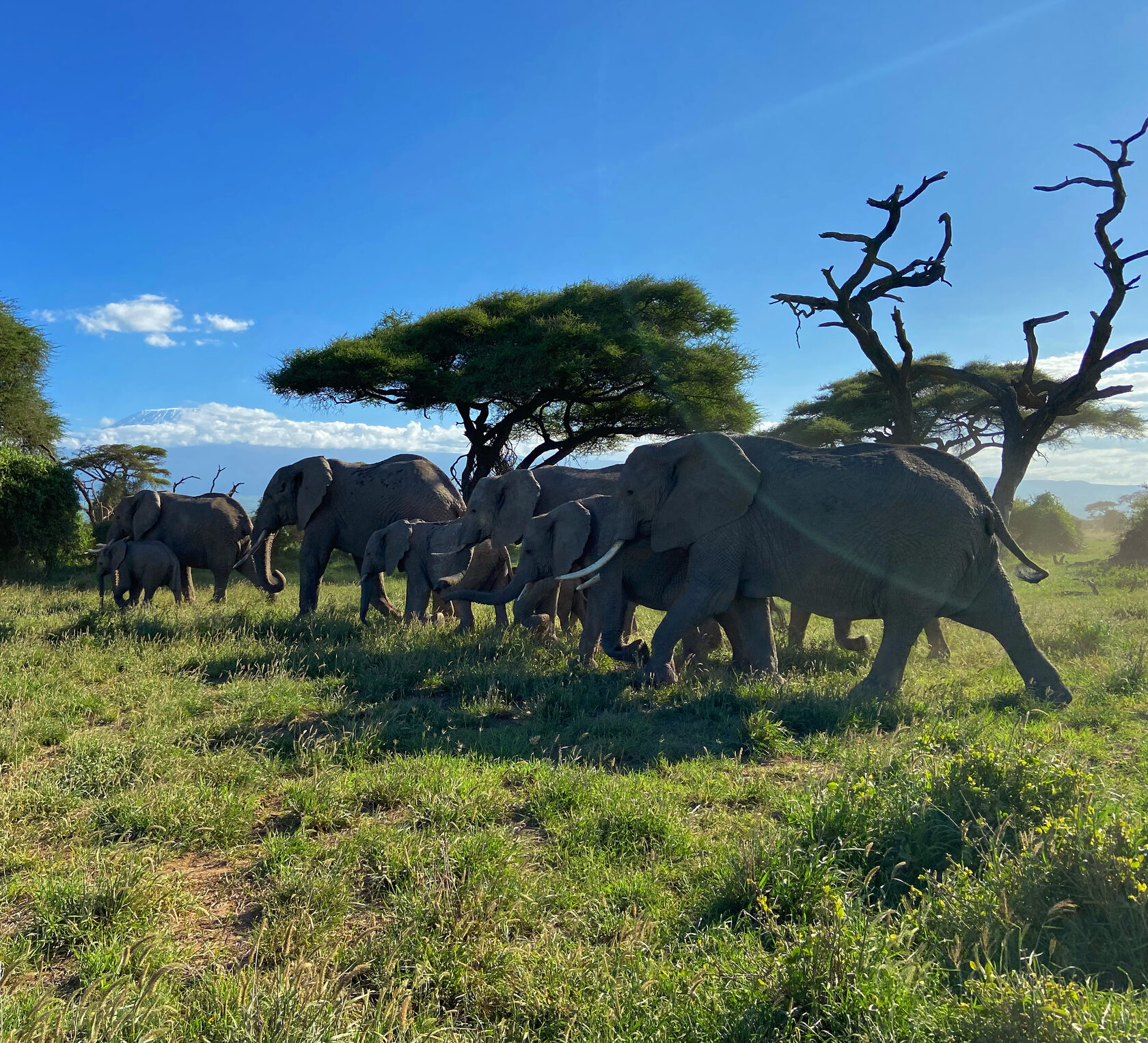 Кения, январь 2022