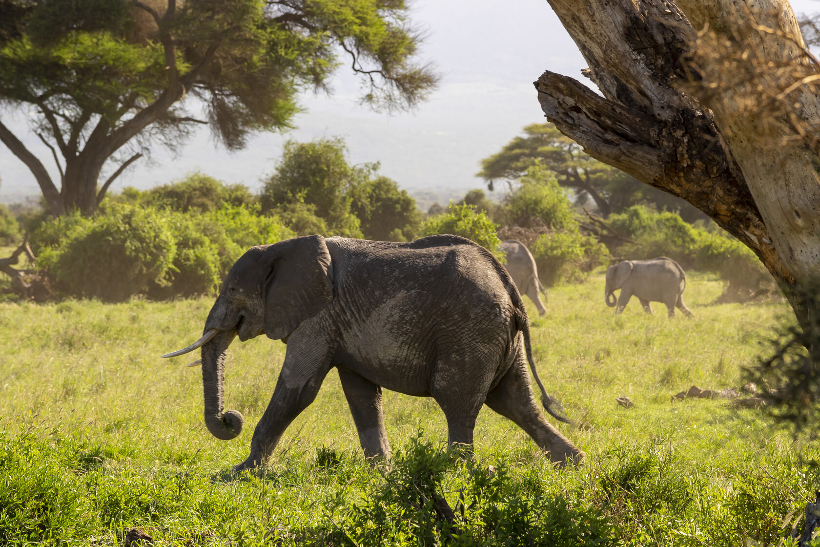 Кения, январь 2022