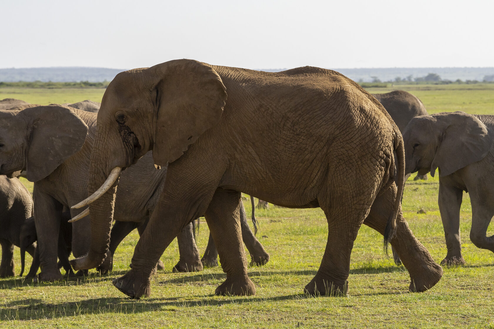 Кения, январь 2022