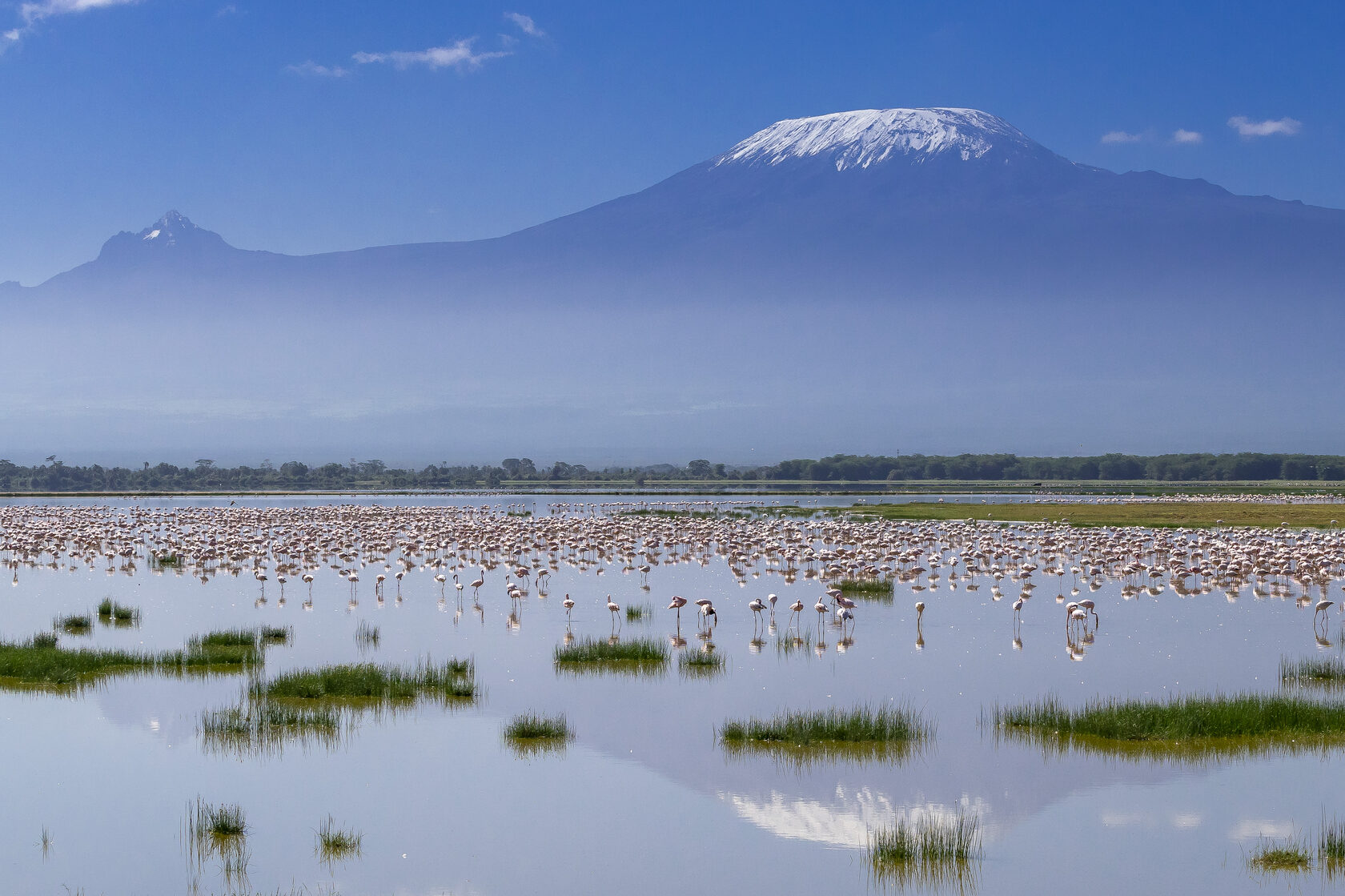 Кения, январь 2022