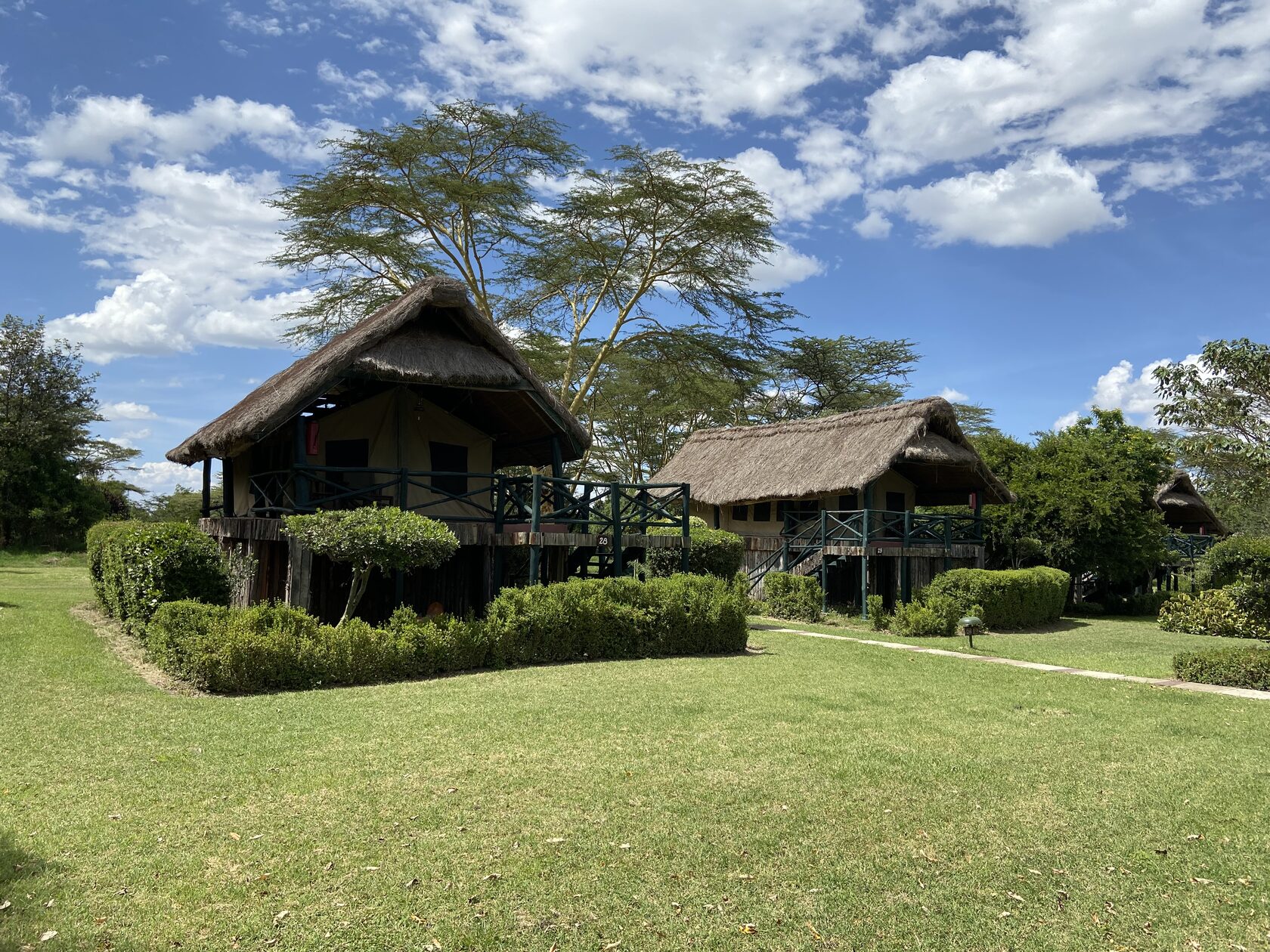 Кения, январь 2022