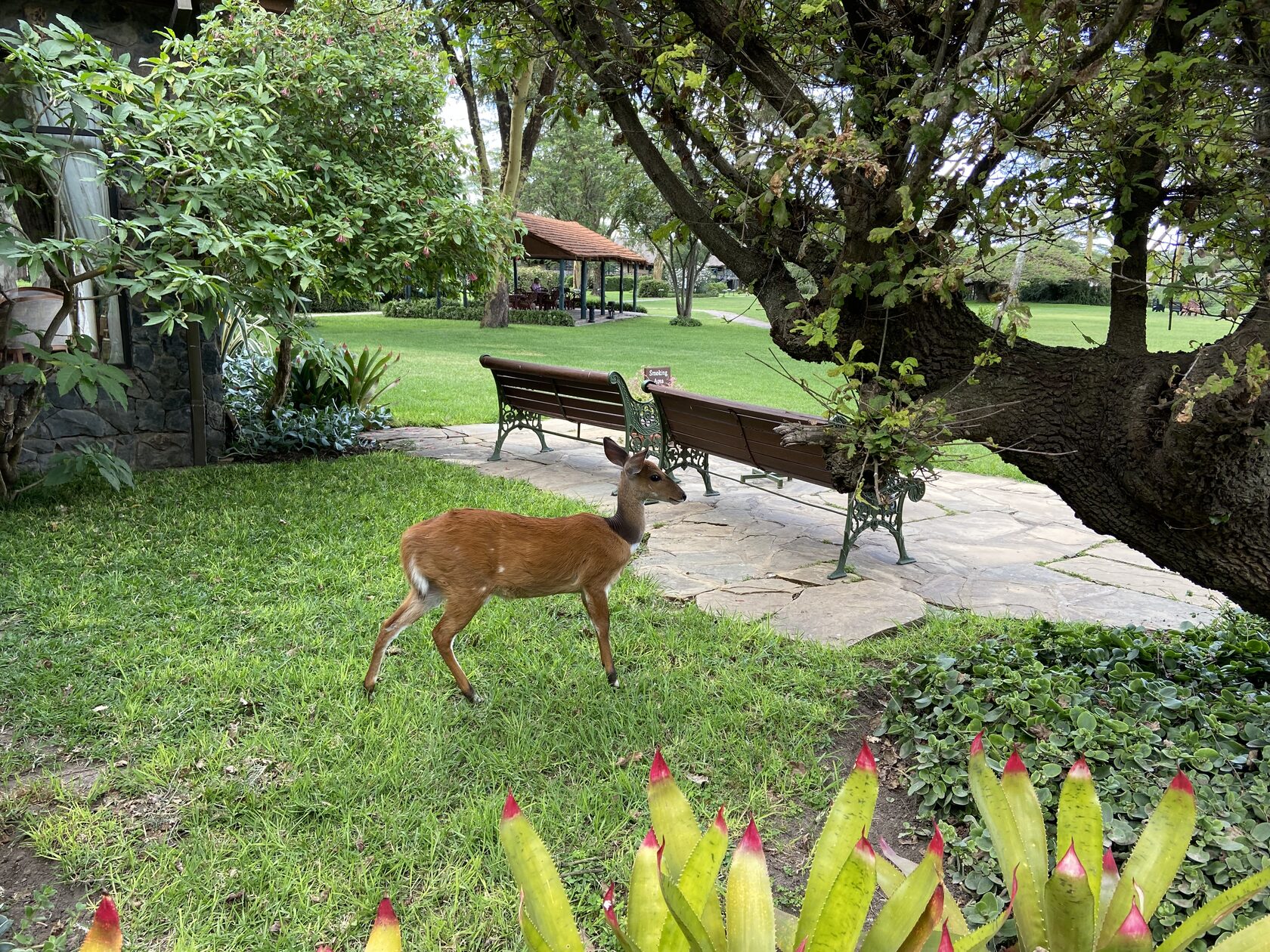 Кения, январь 2022