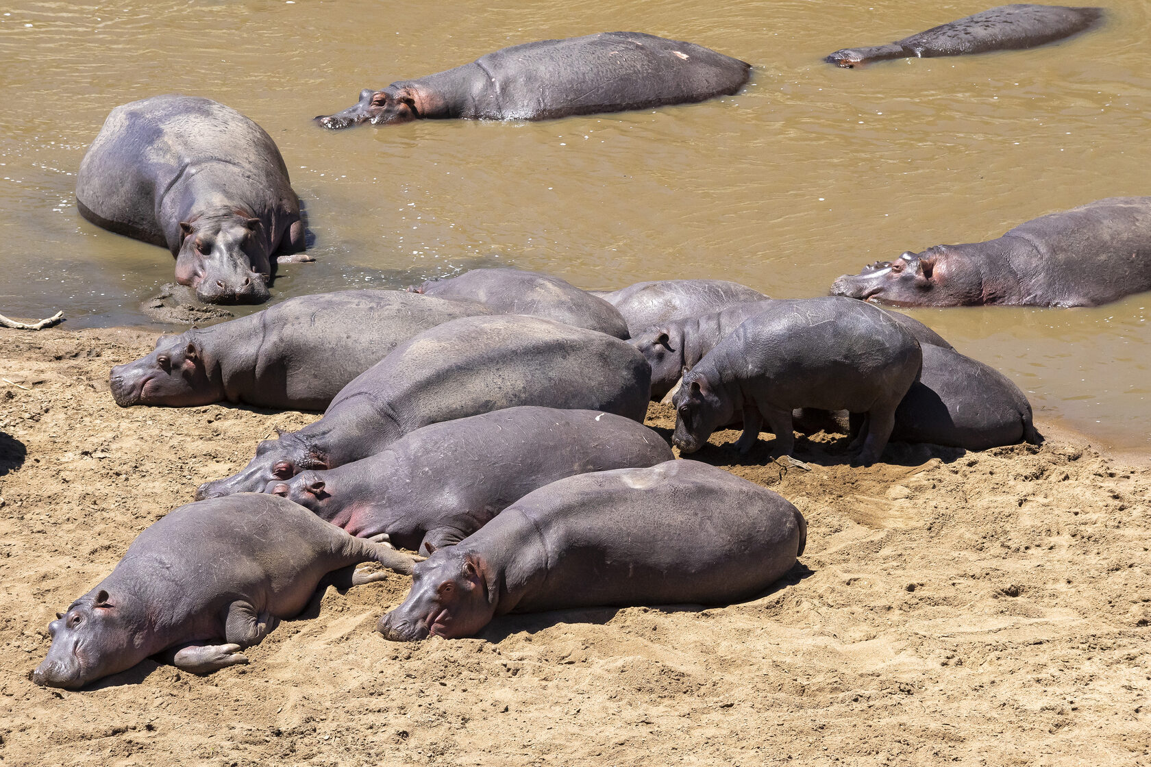 Кения, январь 2022