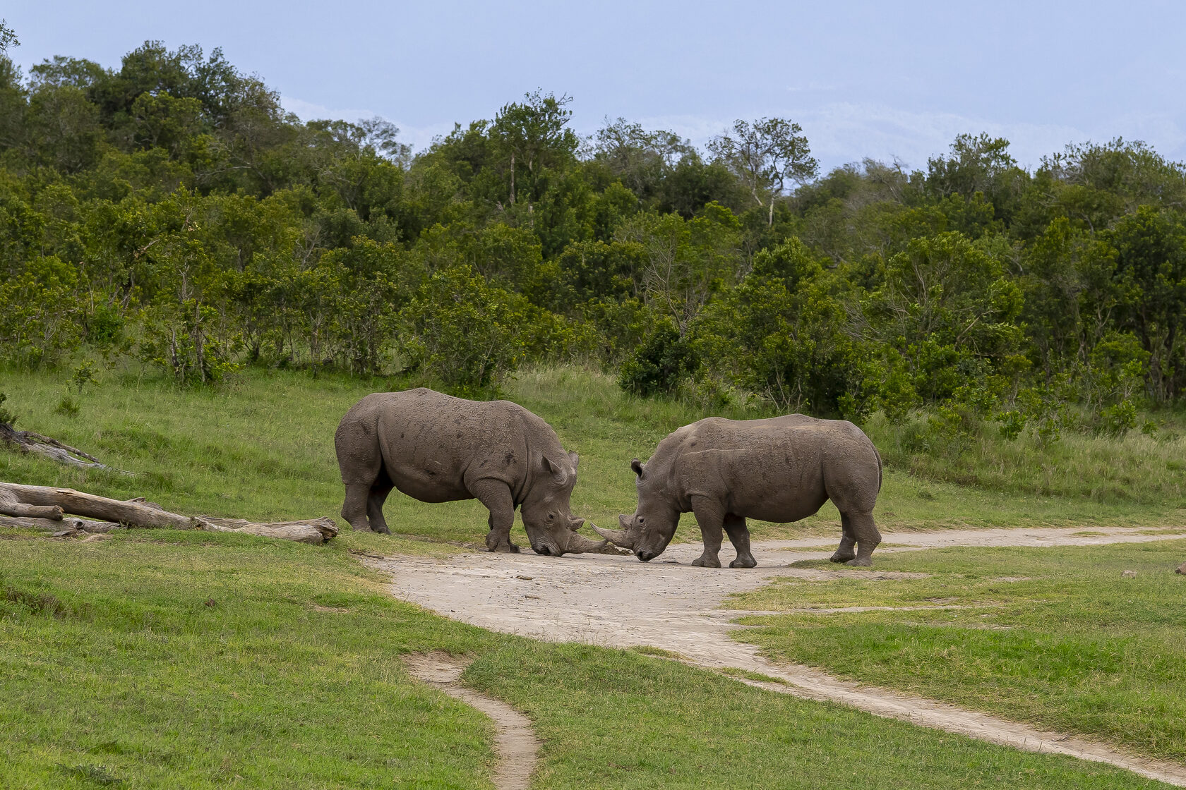Кения, январь 2022