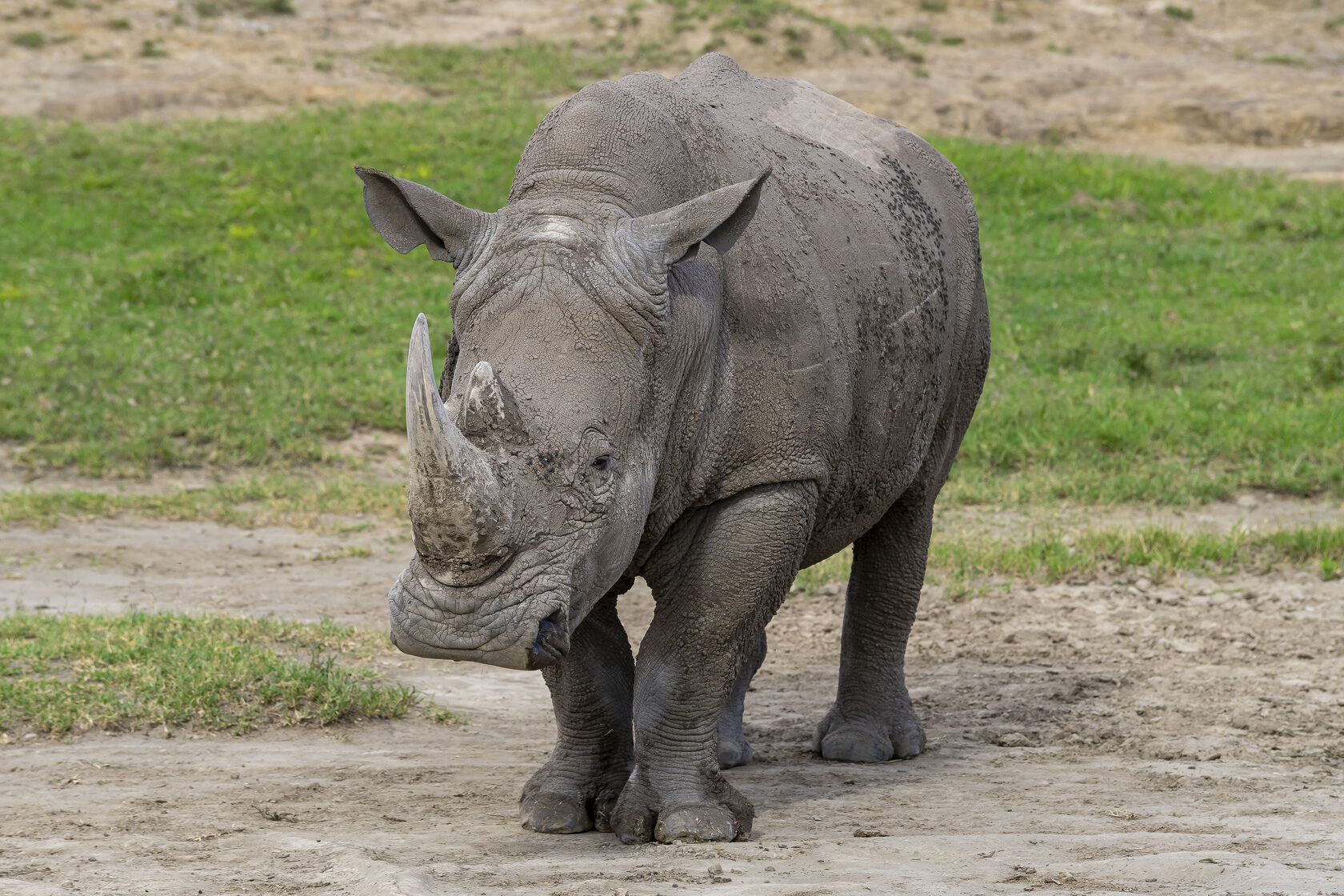 Кения, январь 2022