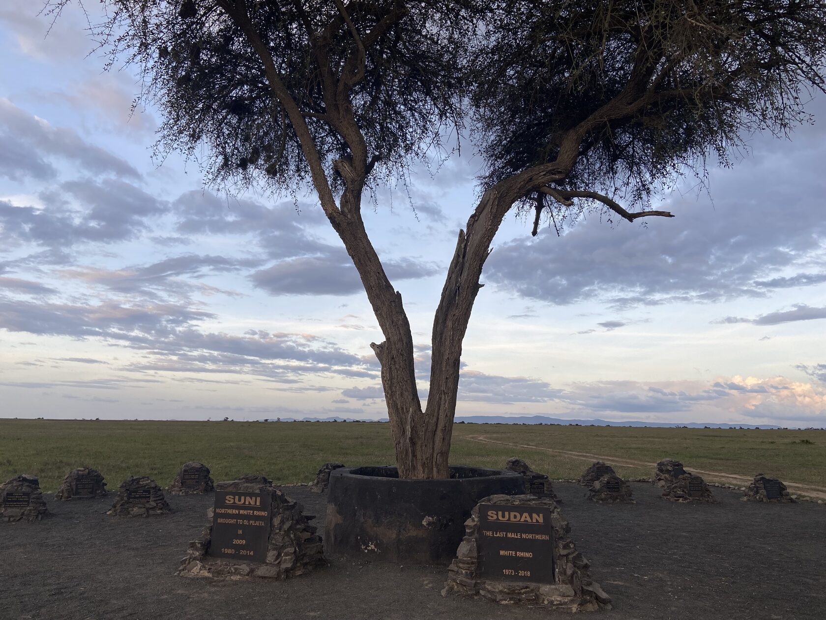 Кения, январь 2022