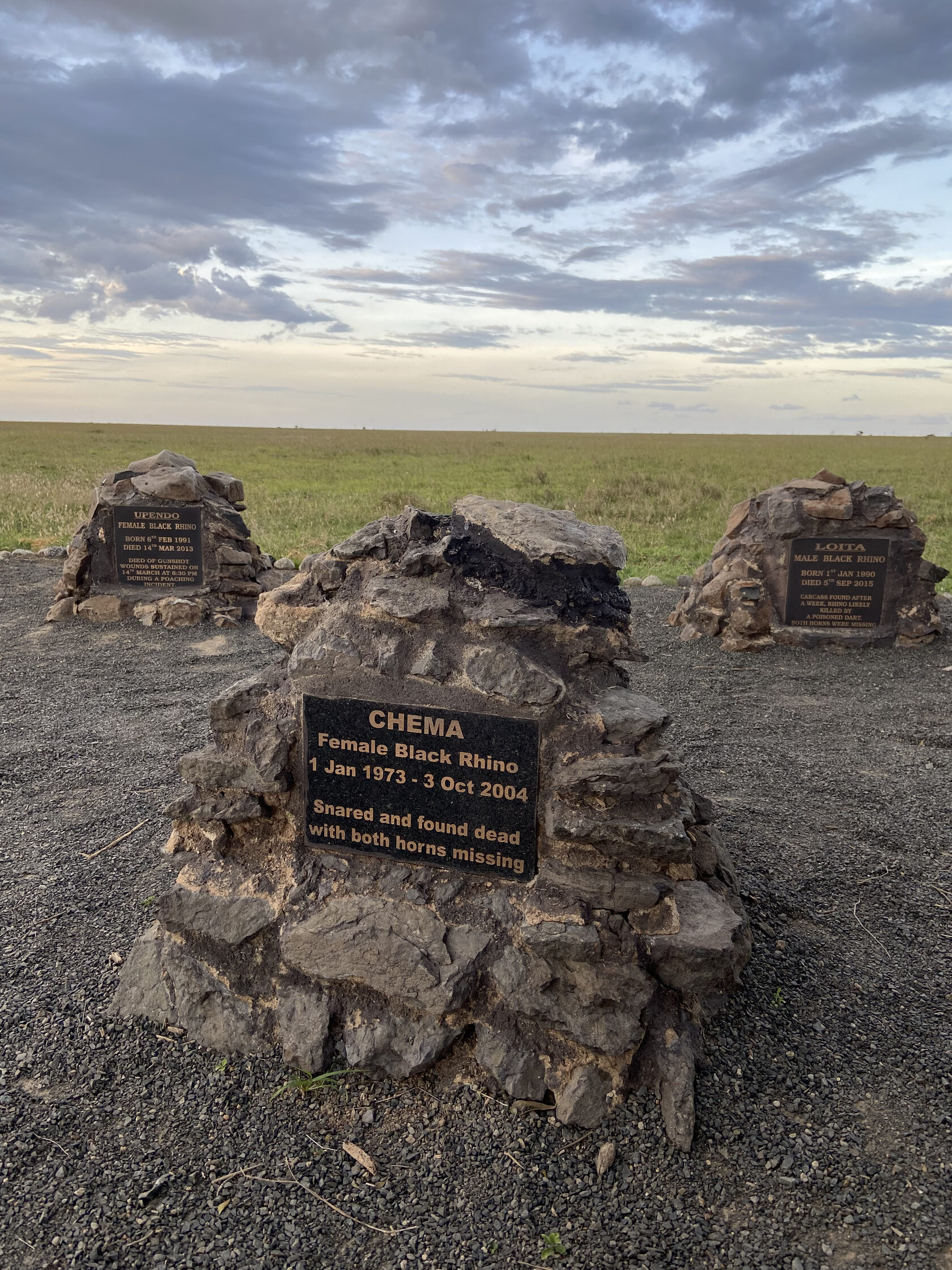 Кения, январь 2022