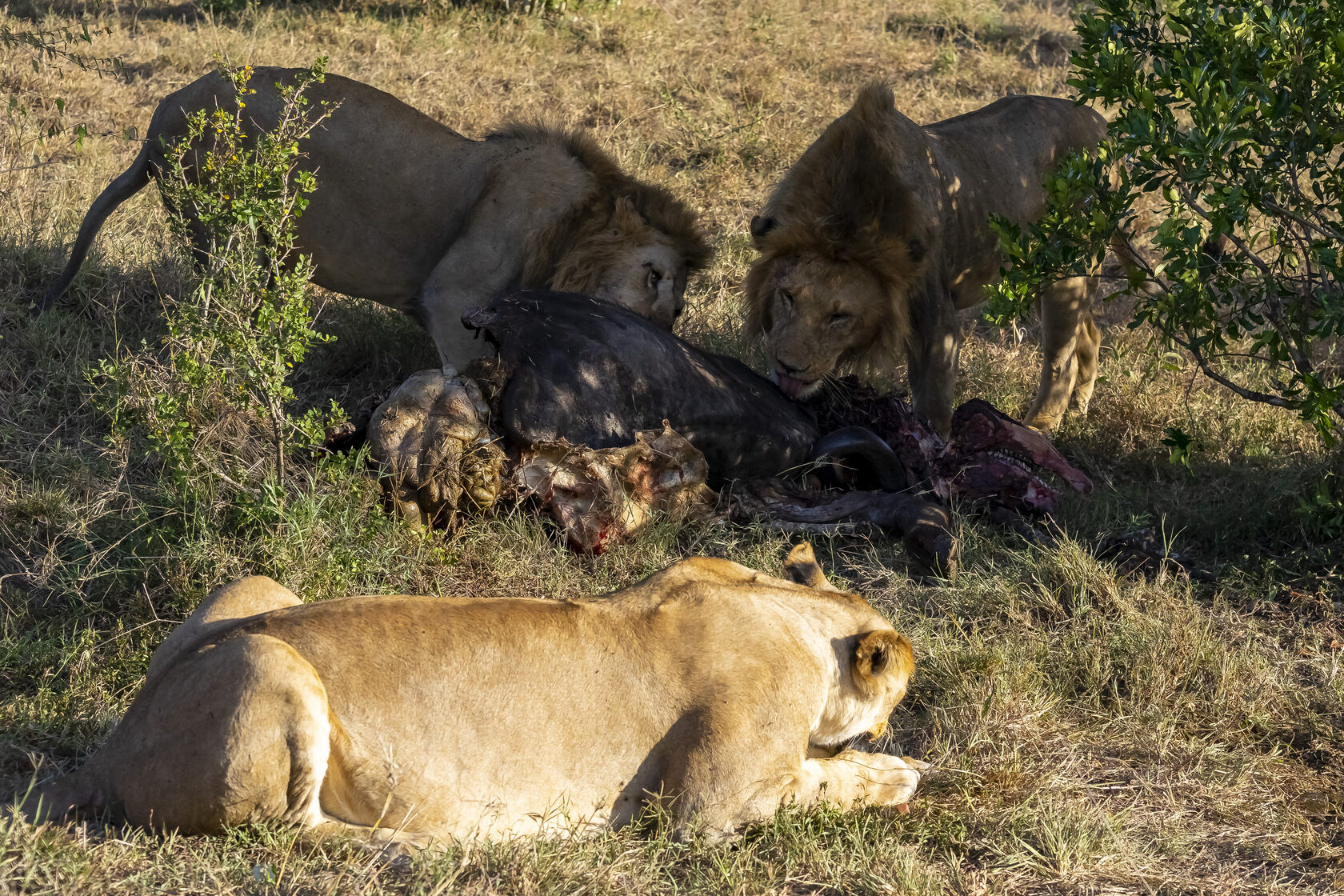 Кения, январь 2022