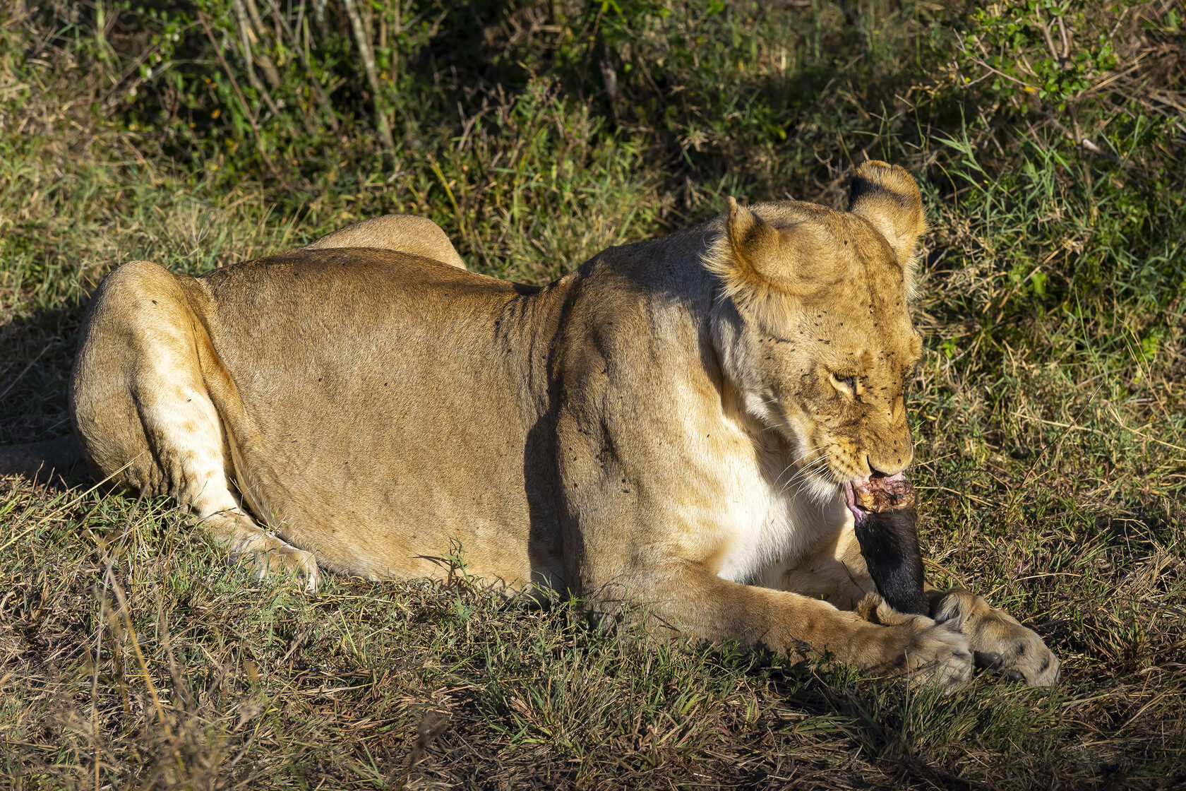 Кения, январь 2022
