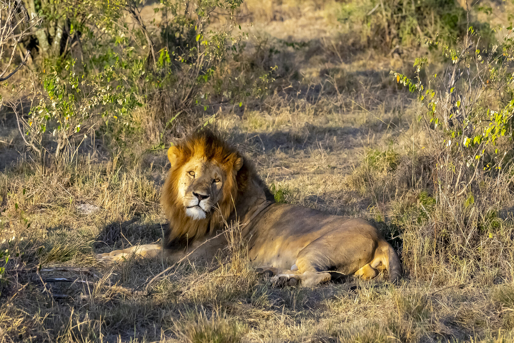 Кения, январь 2022