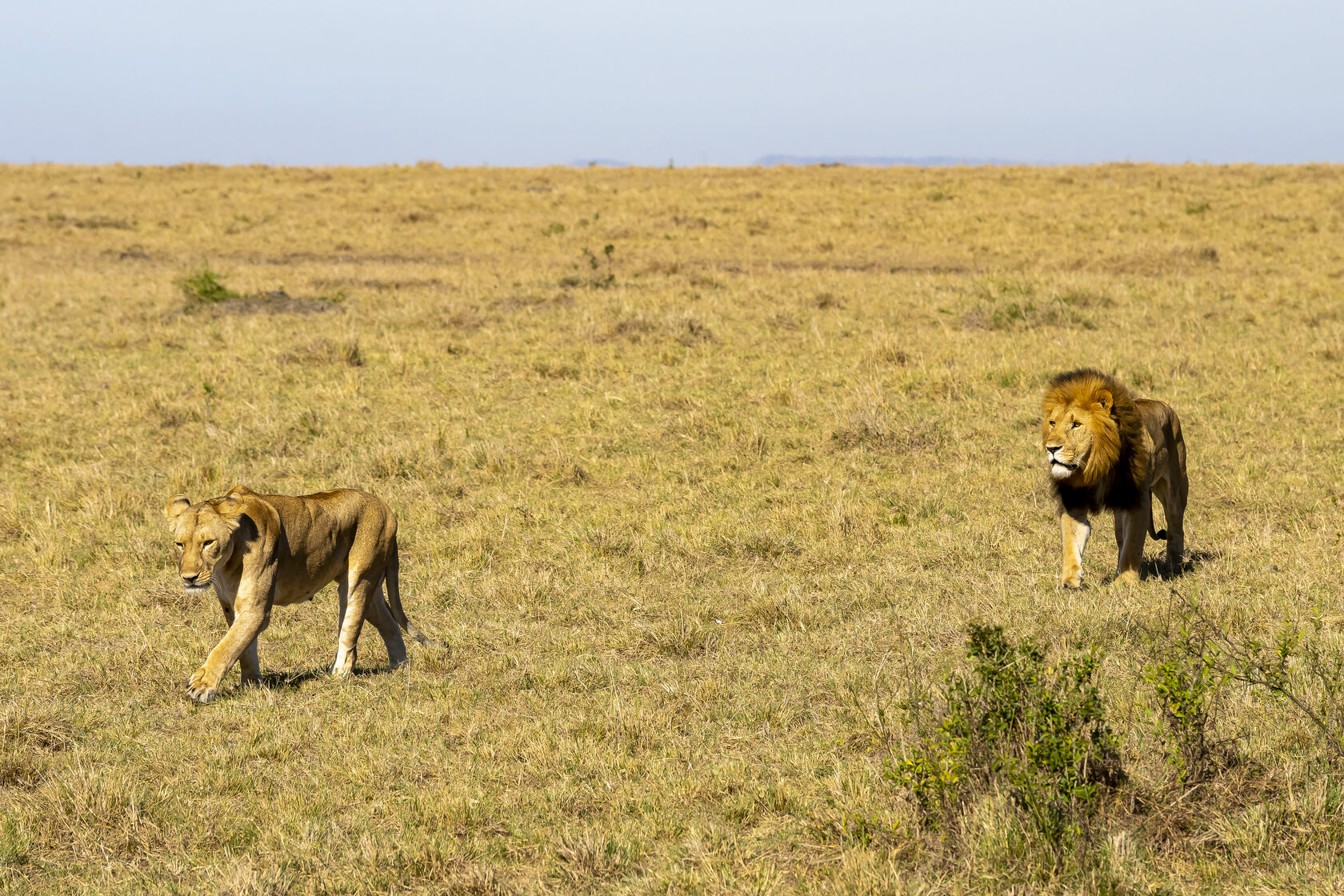 Кения, январь 2022