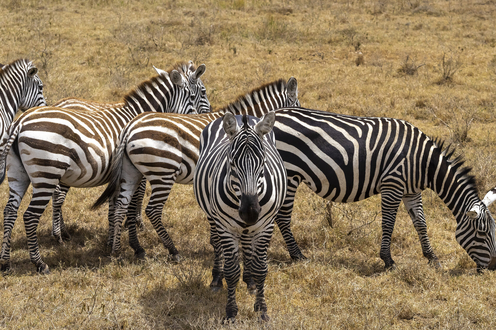 Кения, январь 2022