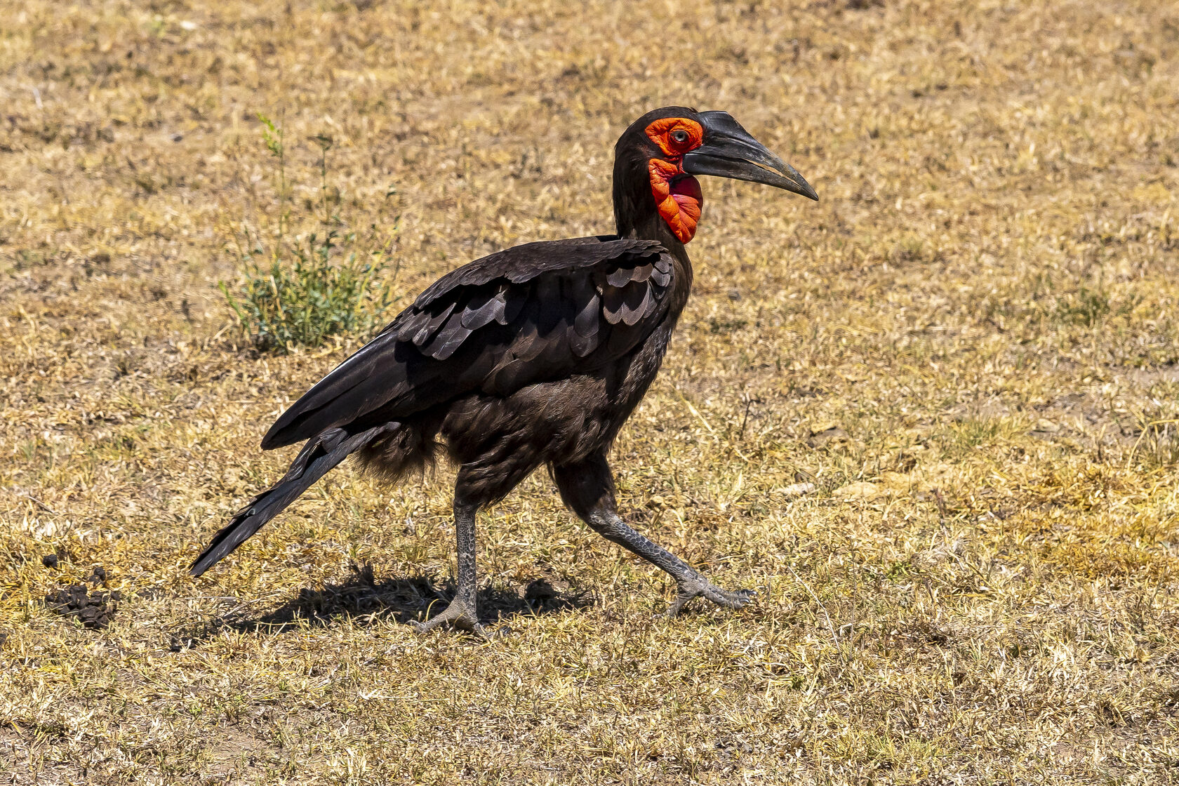 Кения, январь 2022