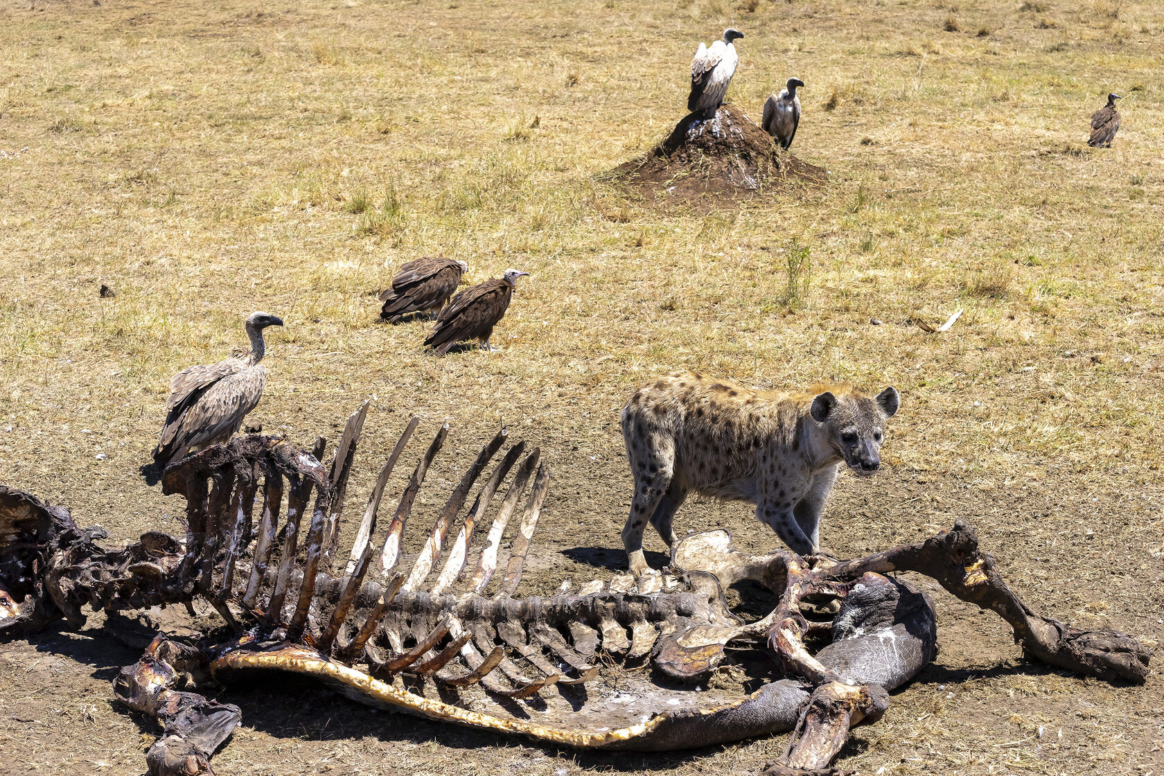 Кения, январь 2022